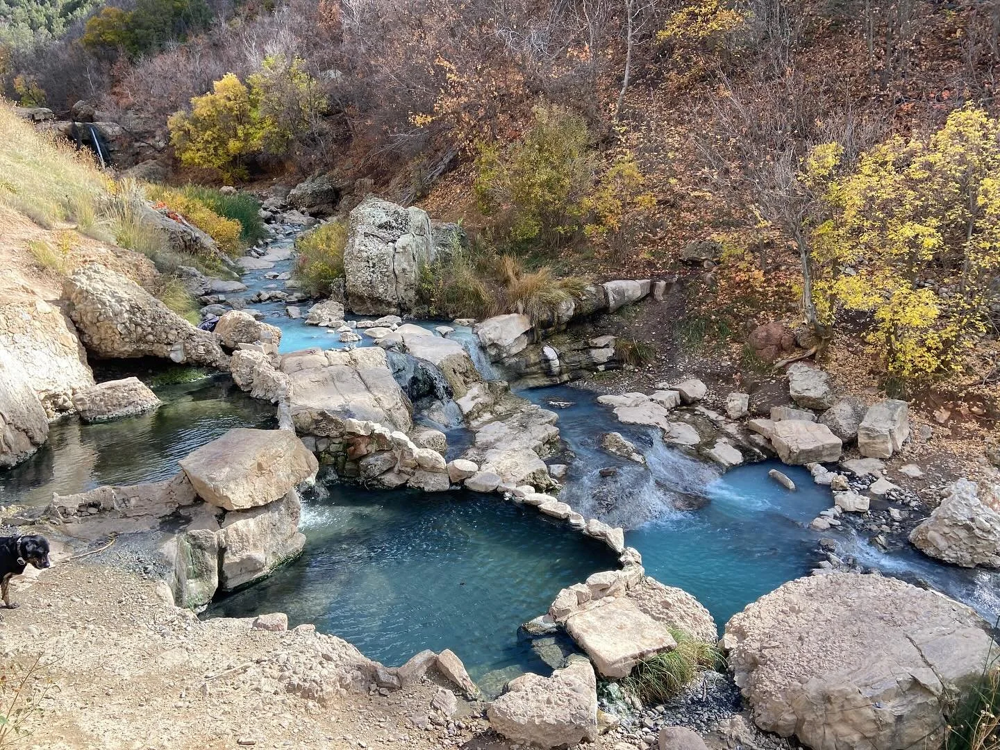 If you had told me a few years ago that I&rsquo;d be living in Utah&mdash;sharing morning coffee and tea with women who&rsquo;ve become my close friends and housemates, skiing through winter, camping and backpacking in the summer, and laughing about 