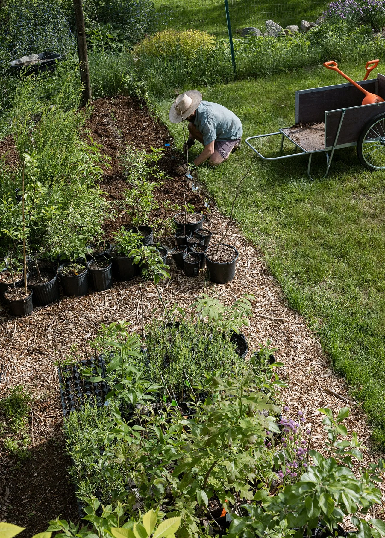 Nursery_20240602_10.jpg