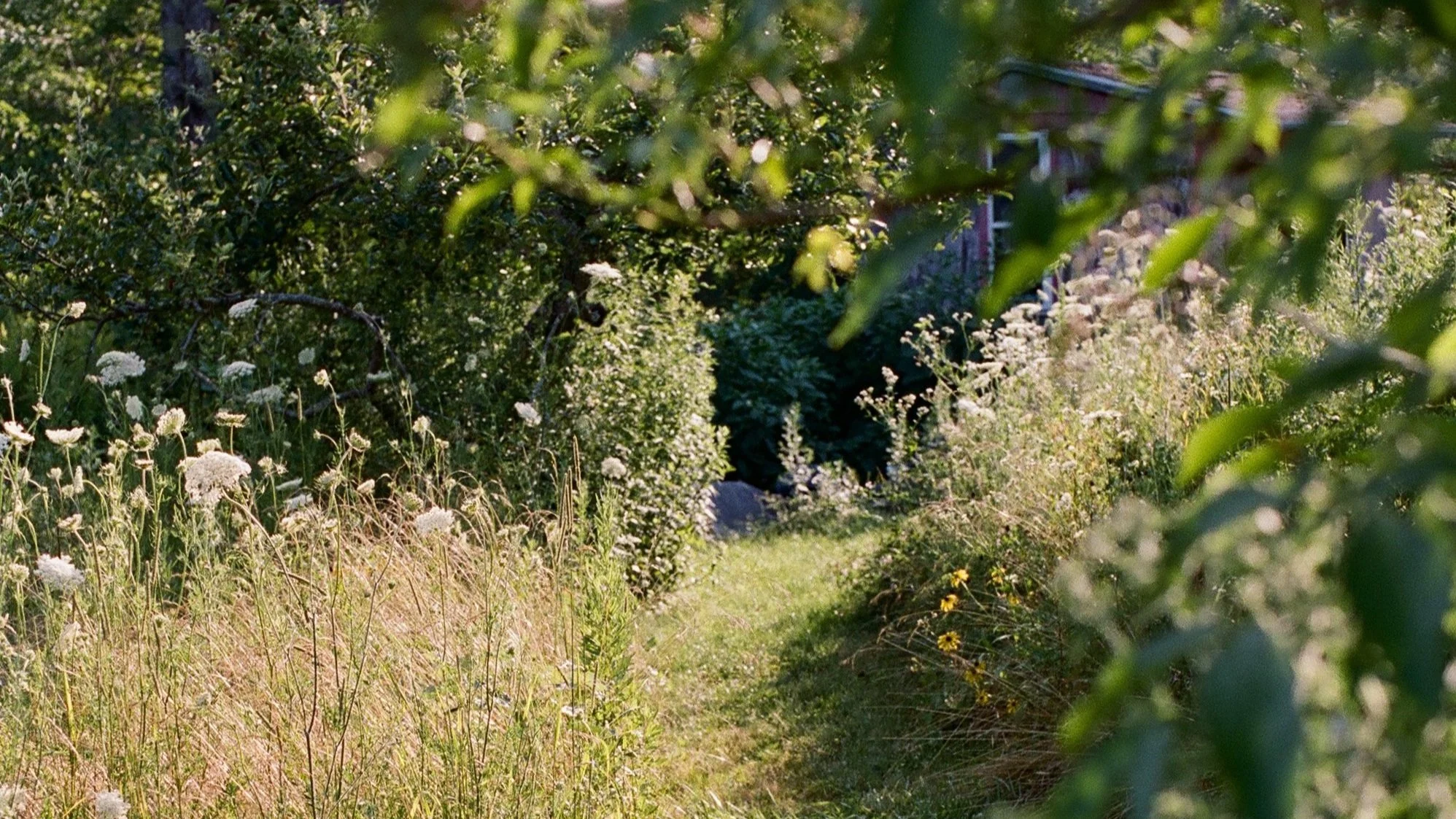 Nursery_20241106_6.jpg