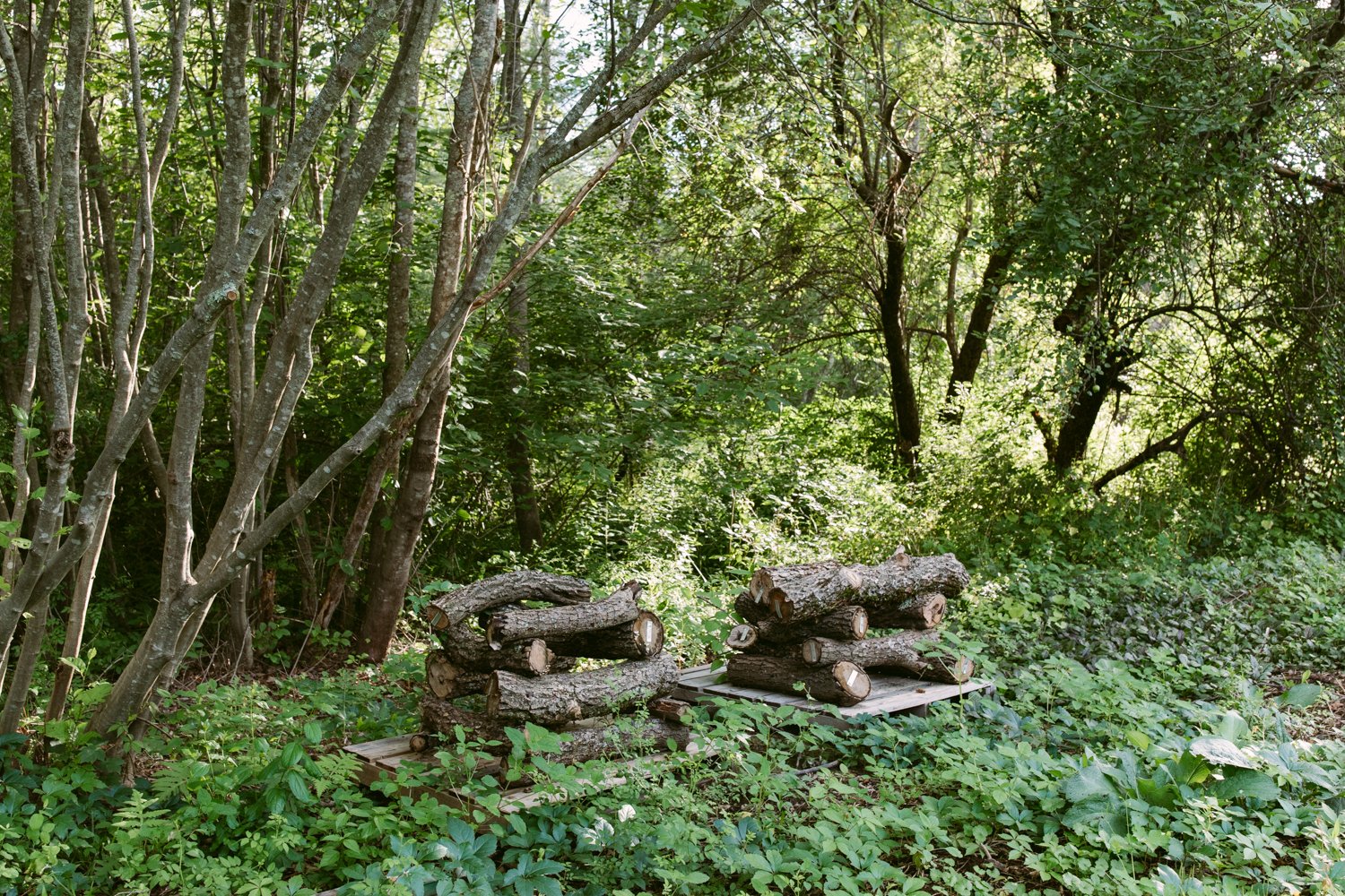 Home_3.JPG