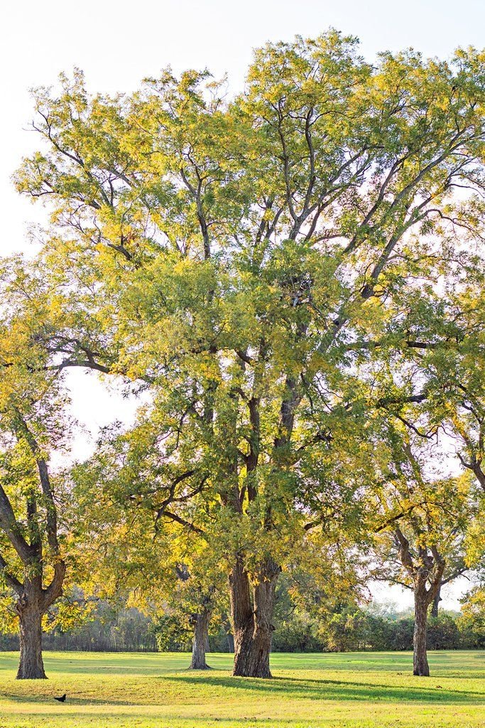 18dda45cd91c10dd7c83b243b59cb5bf.jpg