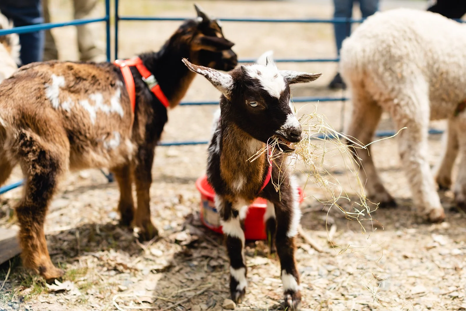 AandTJ.01-87_websize (1).jpg