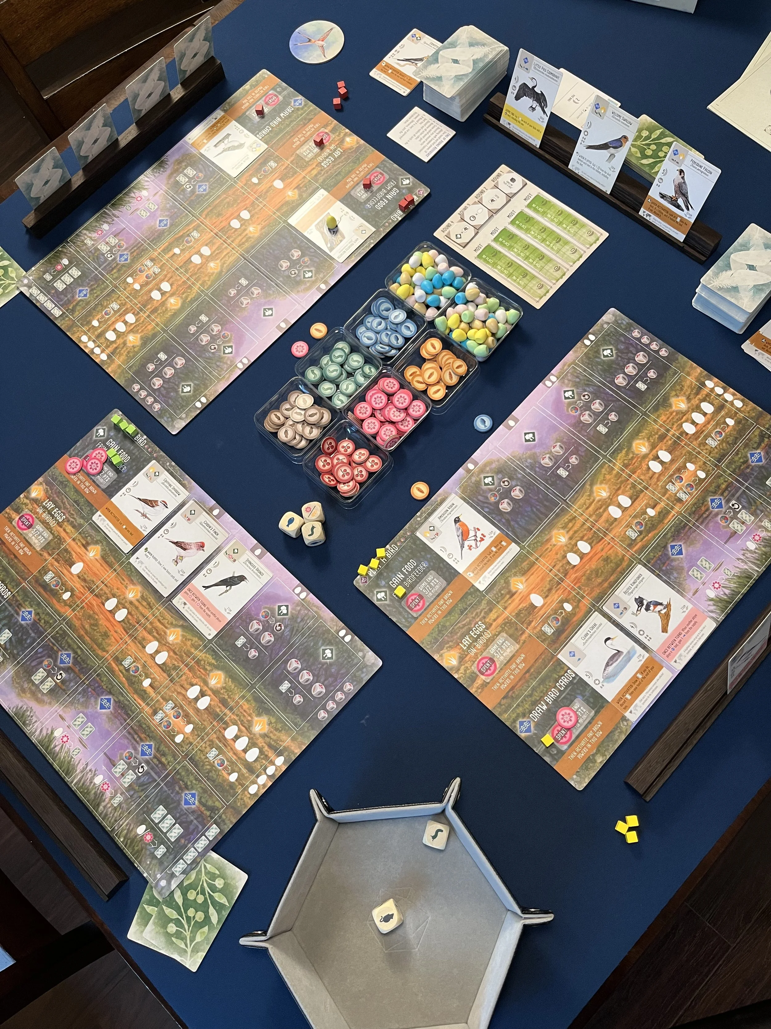 Wenge-Game3.jpg