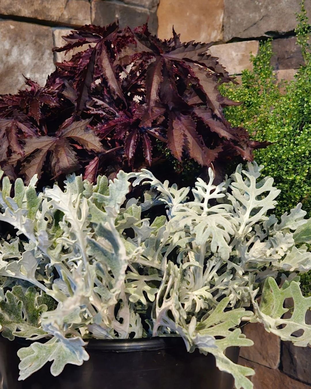 DIY Bucket - Foliage