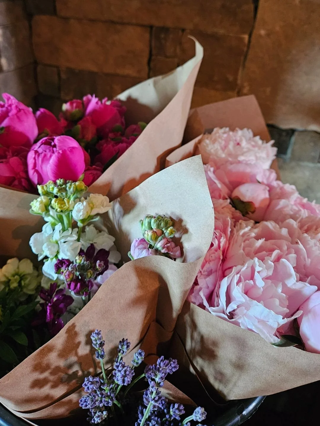 Some Flowers from a Flower Farm in Southern Chester County PA
