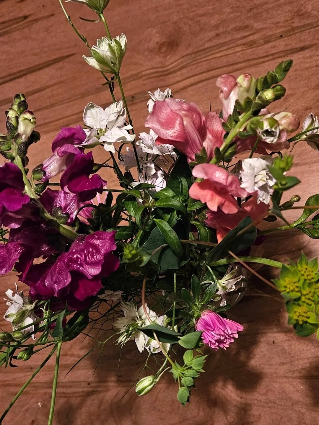 More Flowers from a Flower Farm in Southern Chester County PA