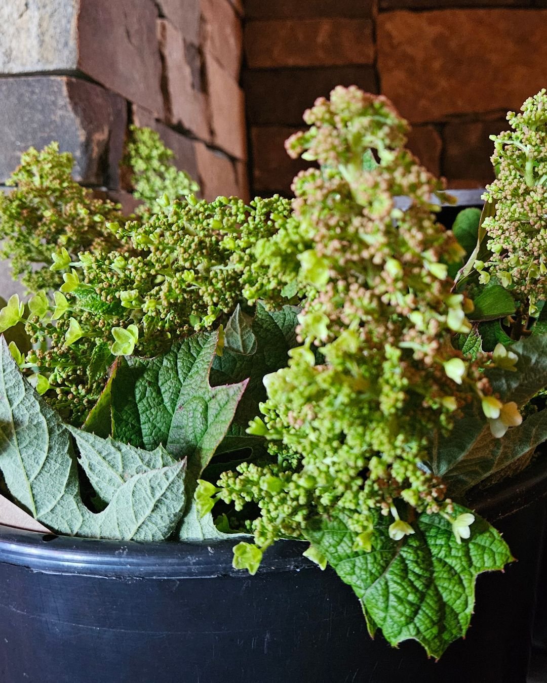 Seasonal Market Bouquet (5).jpg