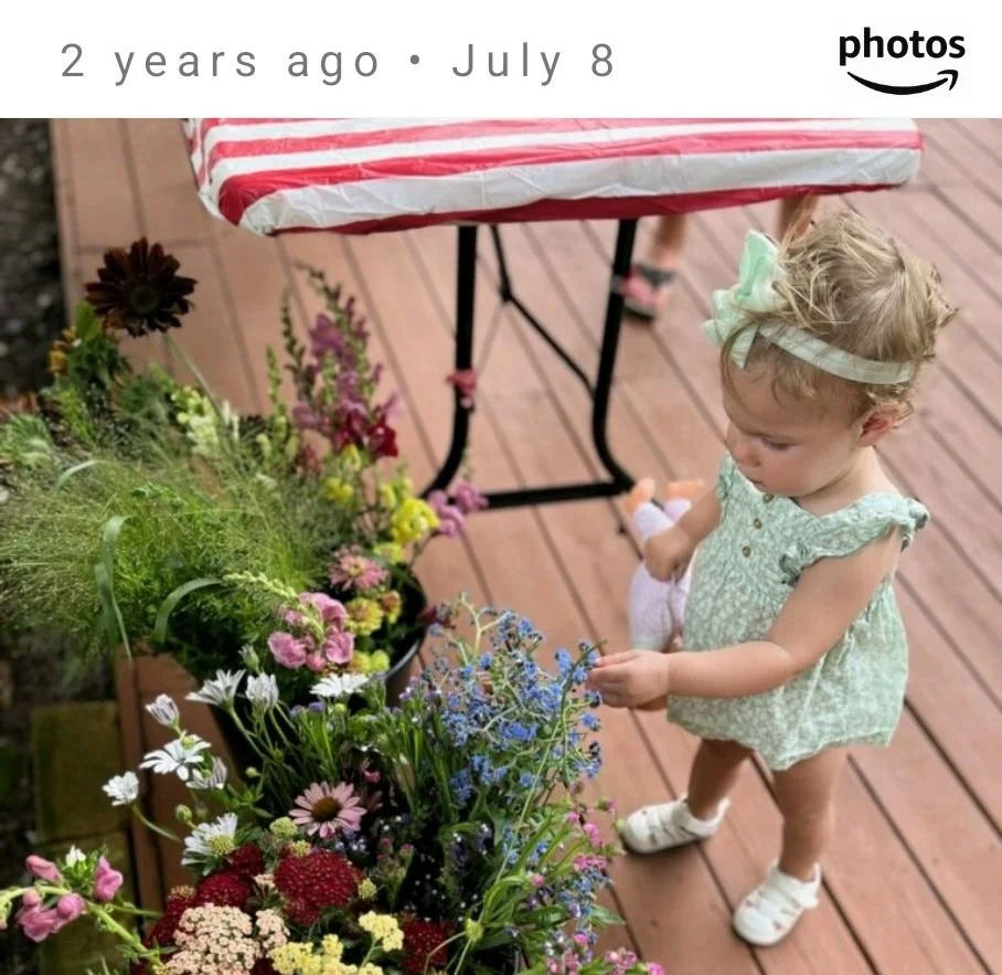 Farm grown flowers southern Chester County