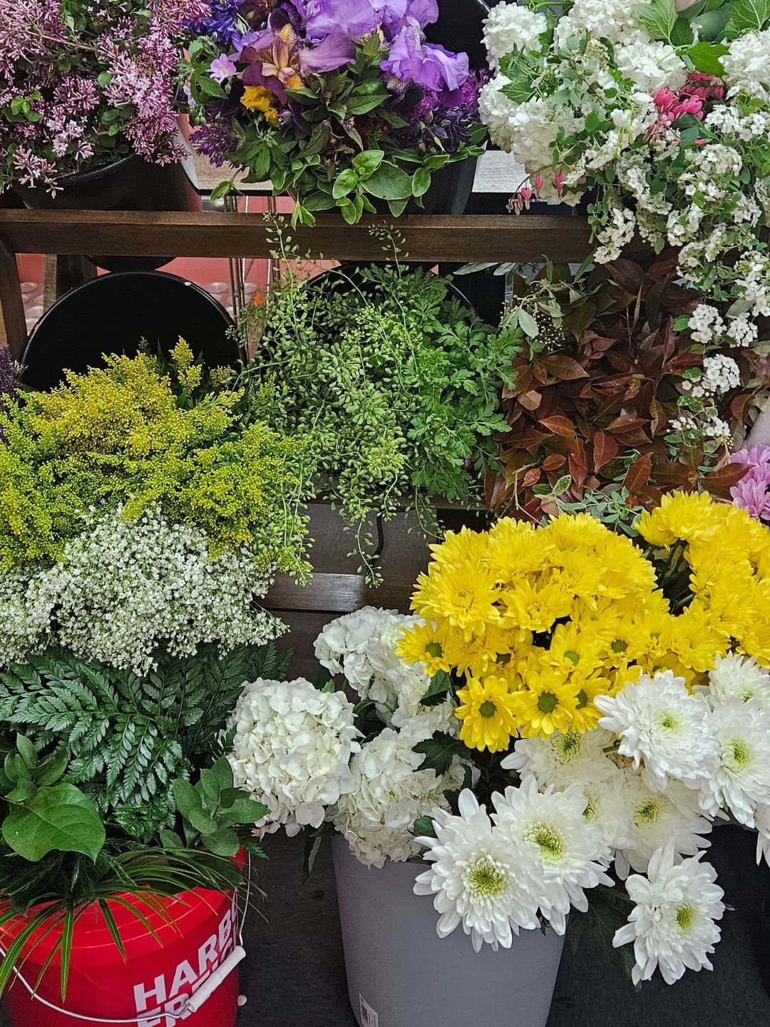 Beautiful Flowers from a Flower Farm in Southern Chester County PA