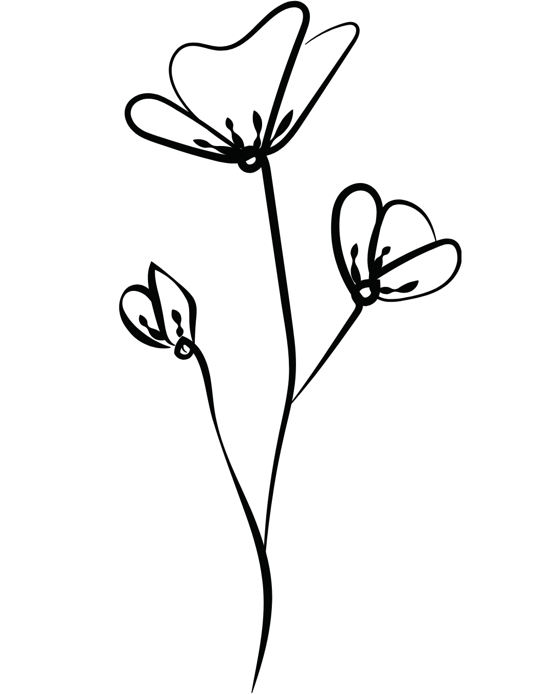 Chester County bouquet subscription