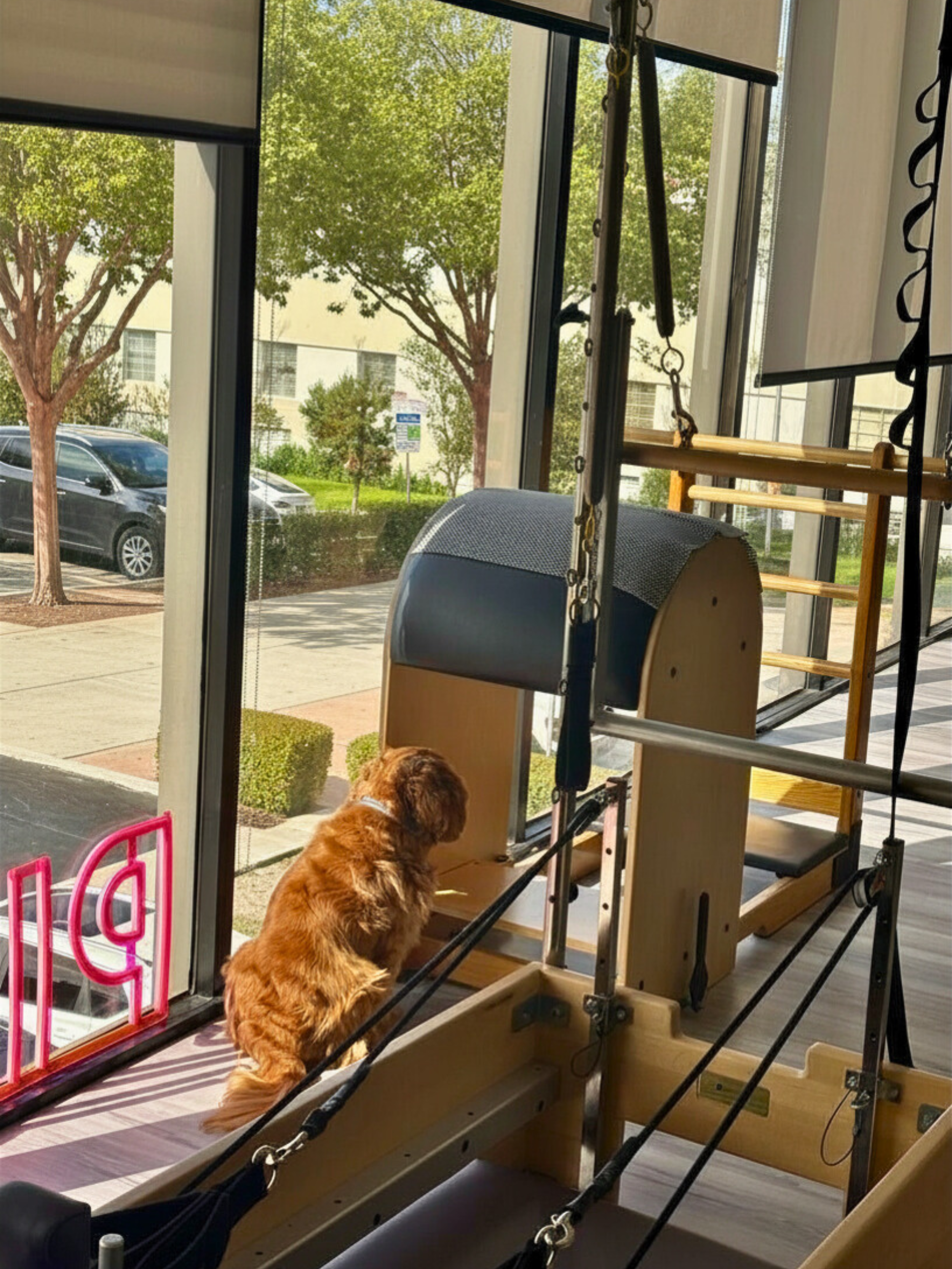 Untitled design (28).png