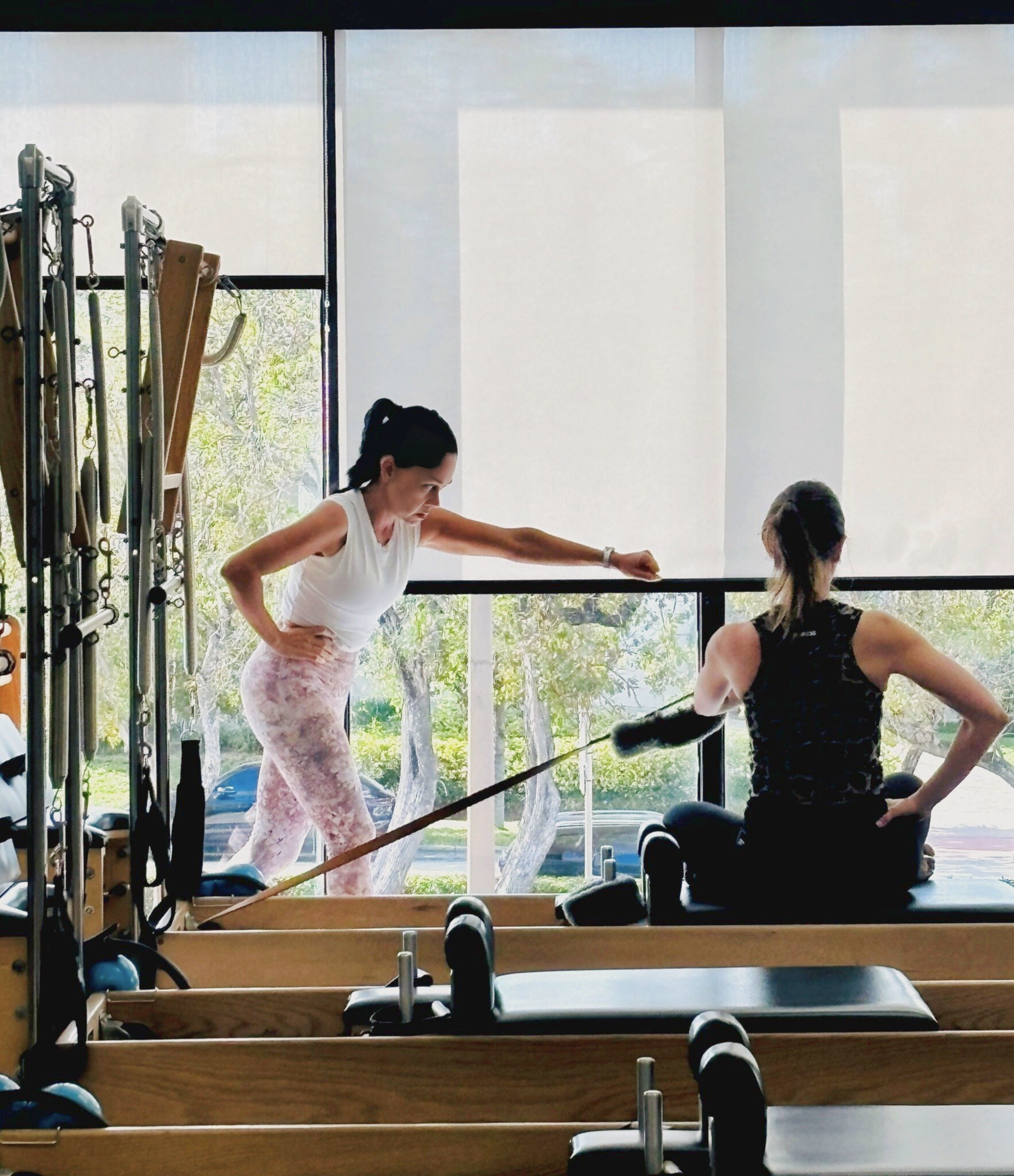 Untitled design (31).png