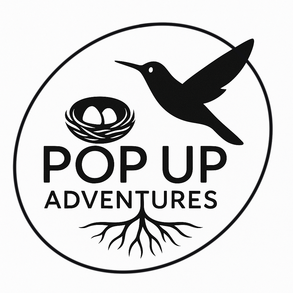 Pop-Up Adventures