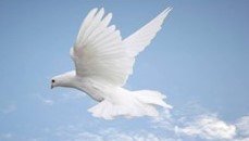 Prophecy Moving the Camp with The Shining Ones