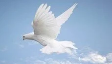 Lord Wants For You 2026