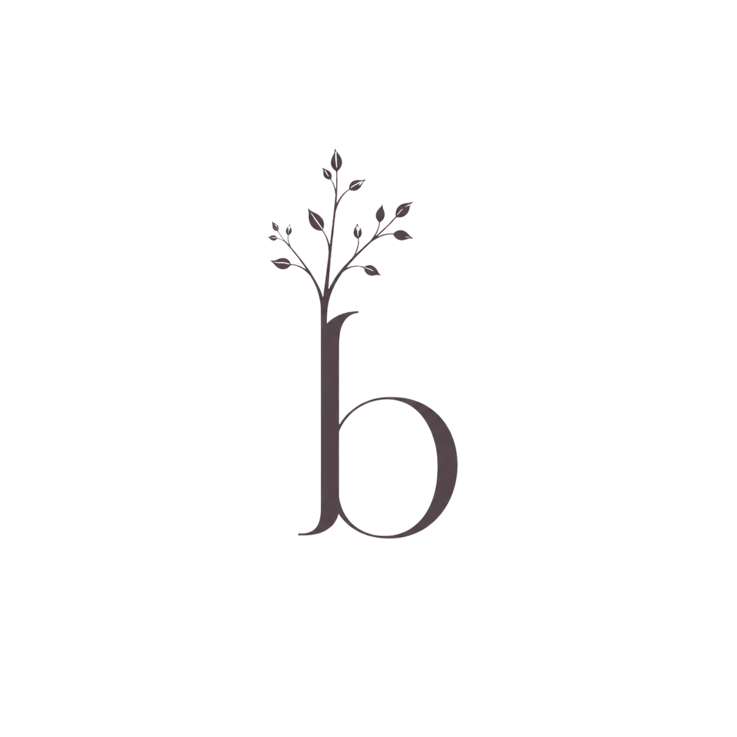 Birch + Bloom