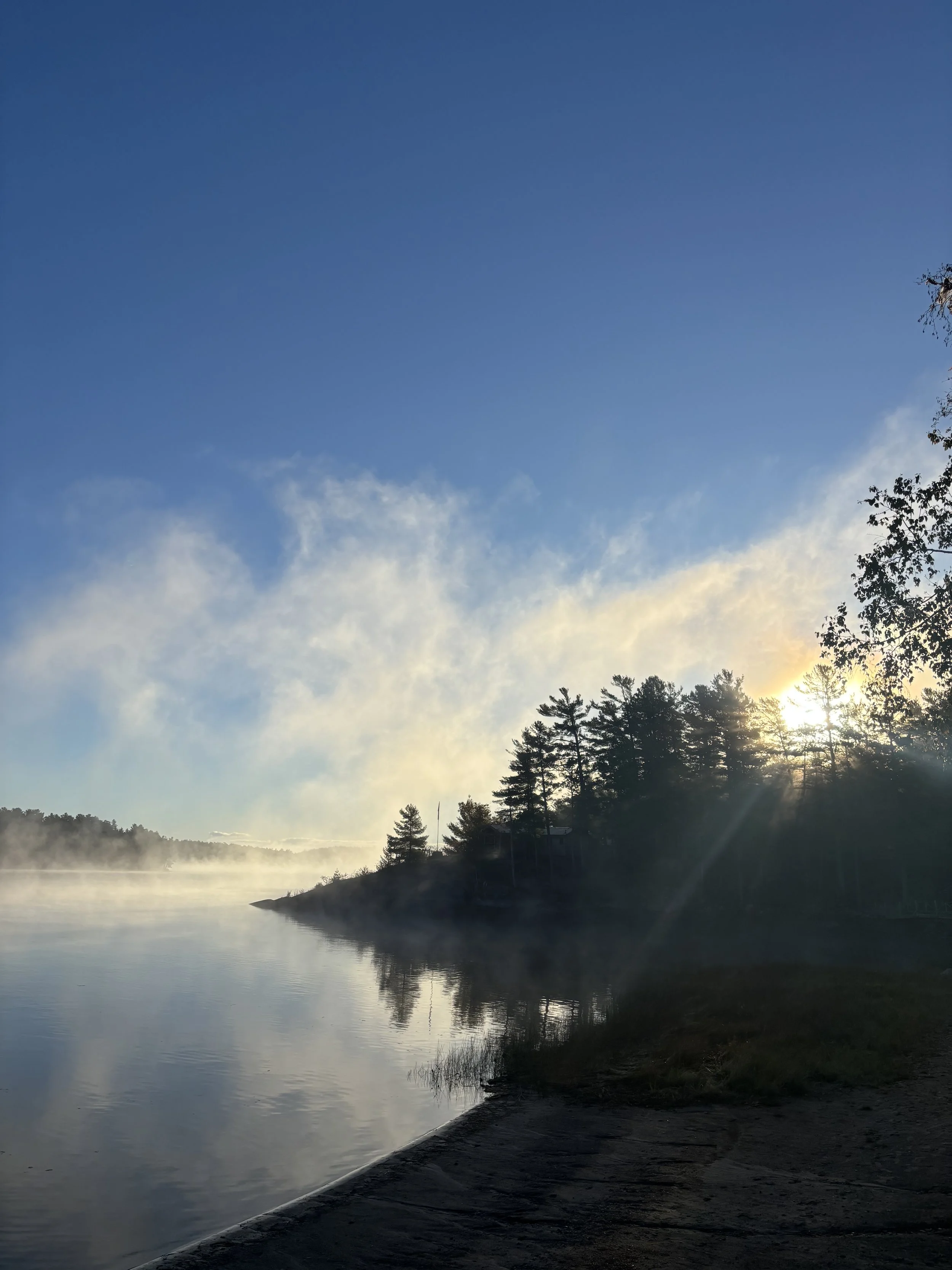 A serene lake scene at sunrise with mist rising, surrounded by tall forest trees, and a clear blue sky overhead.