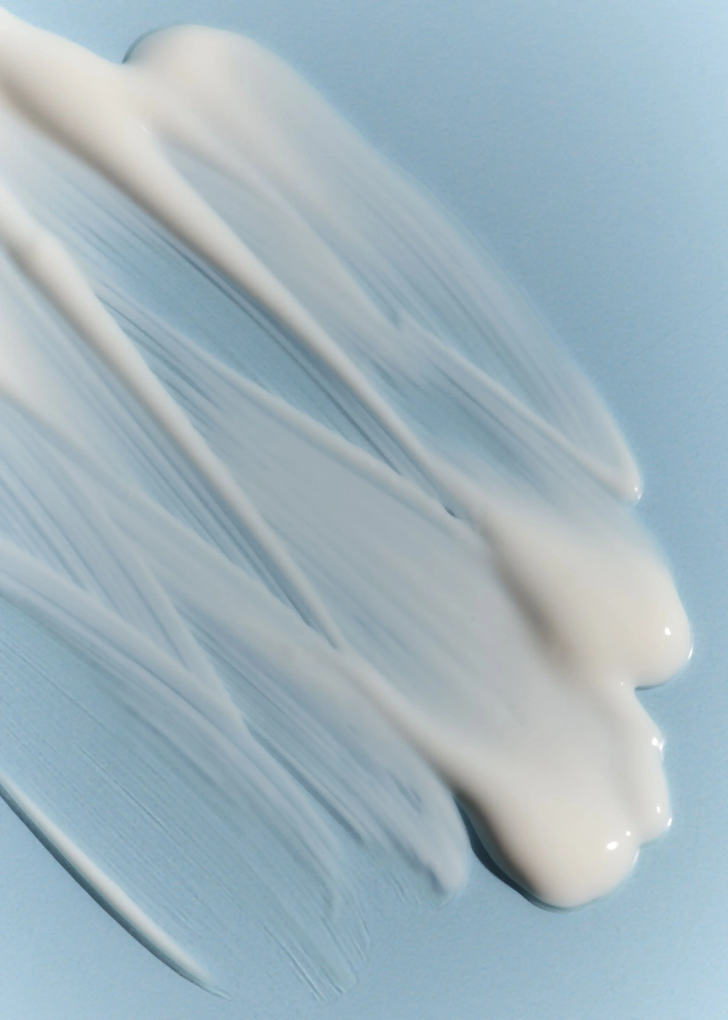 Desert Rose. 6.10.202510523.jpg