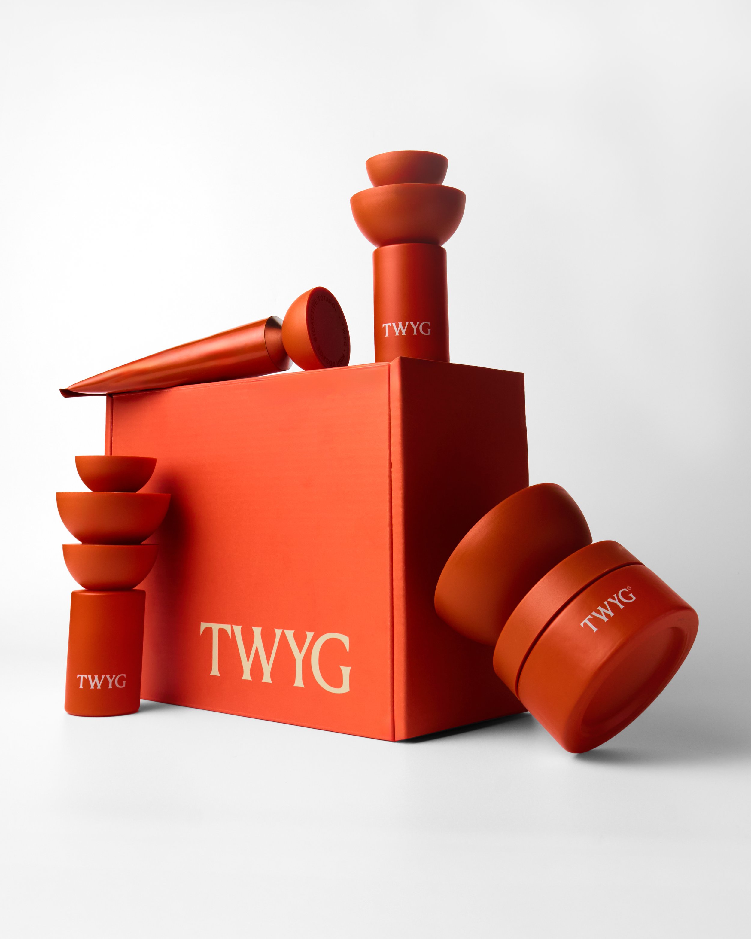 TWYG Skincare Christmas Campaign 2026-2.jpg