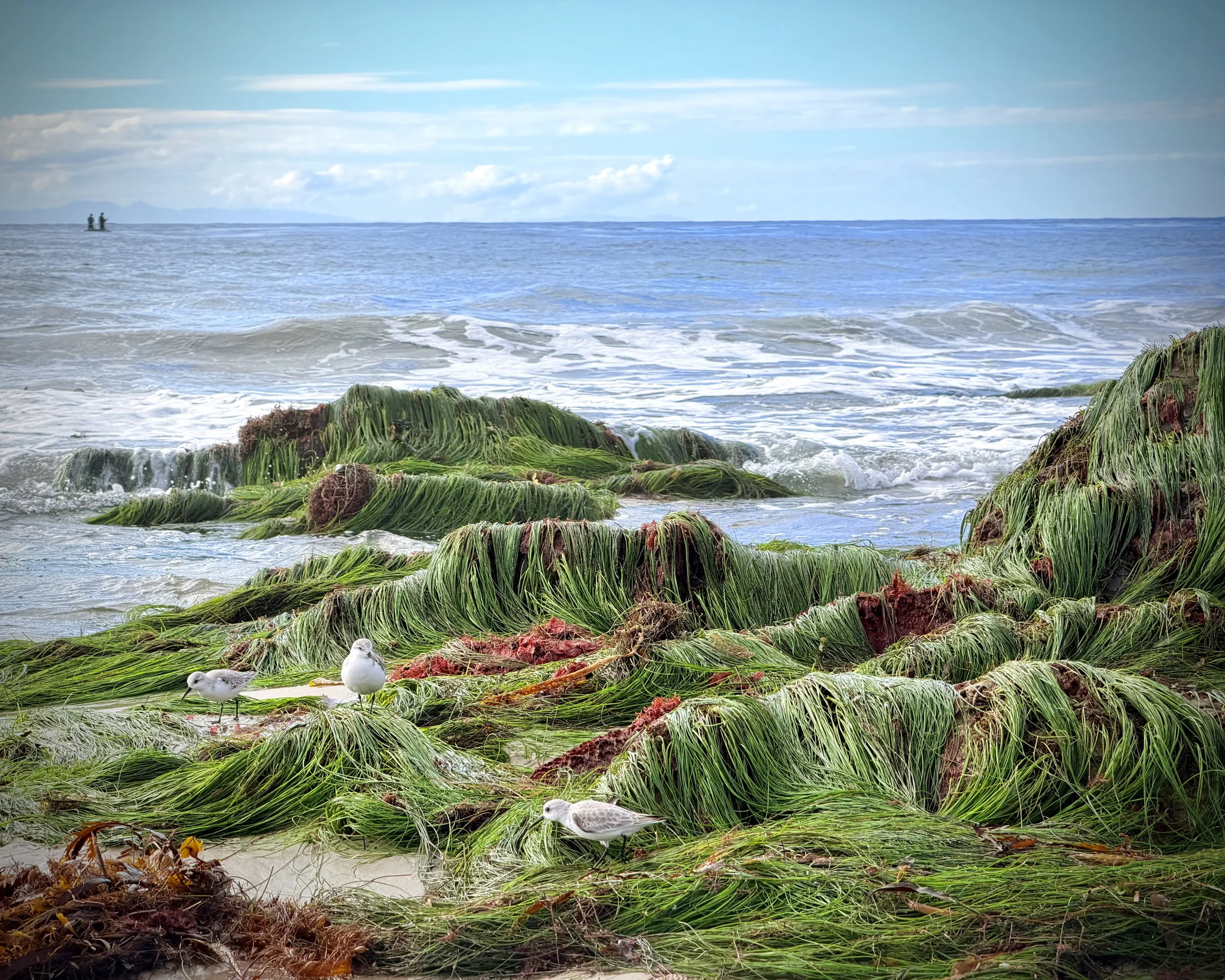 New Year, New Photos