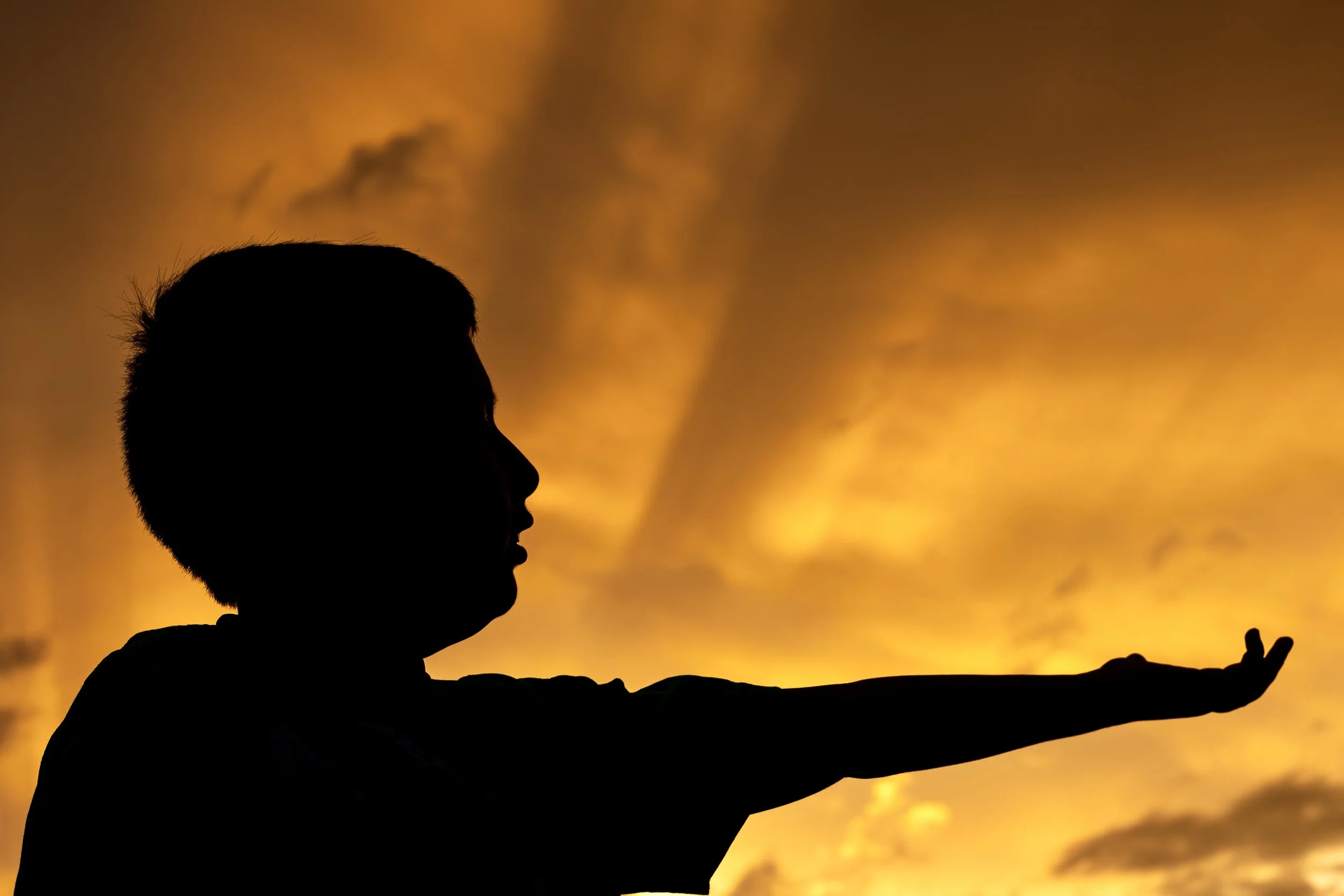 Capturing the Light