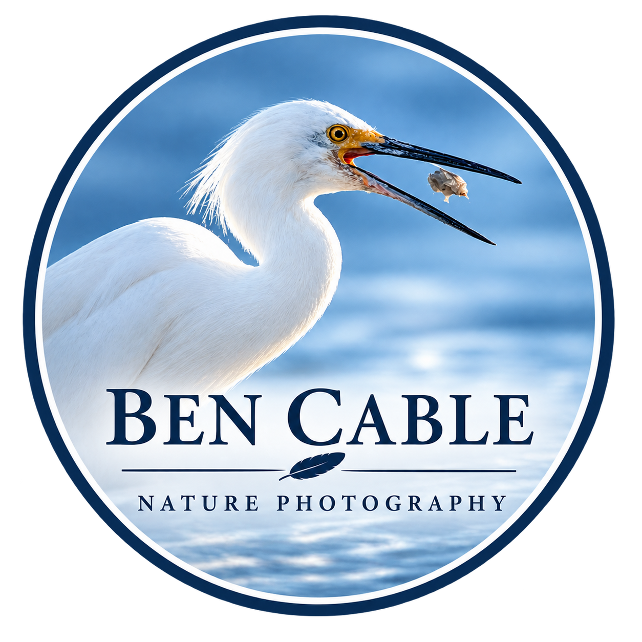 Ben Cable | Nature Photographer