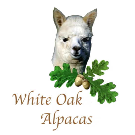White Oak Alpacas