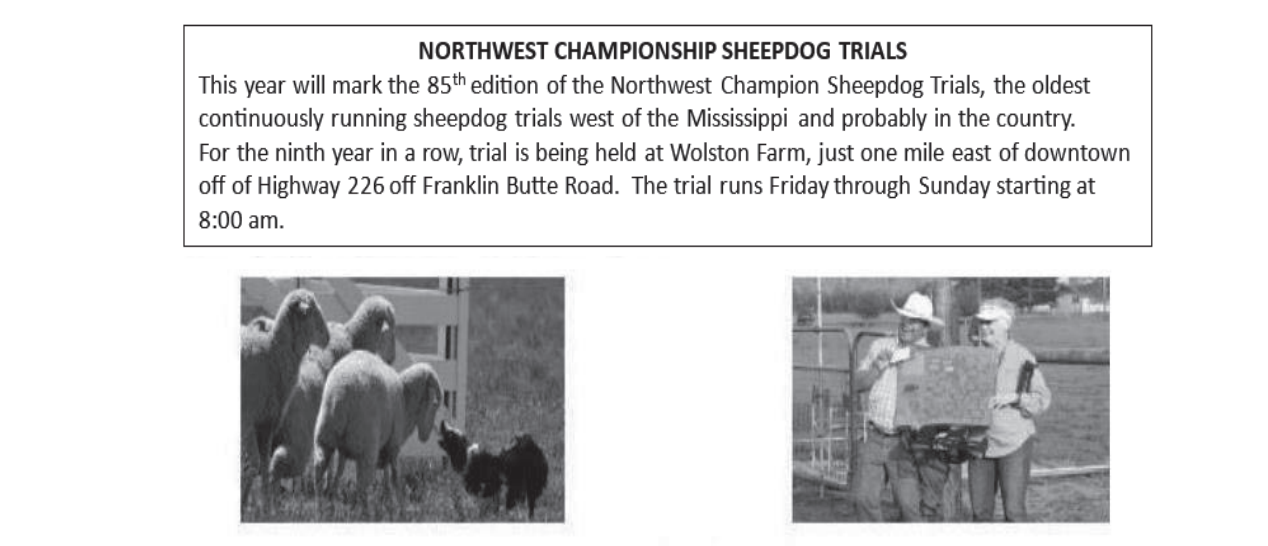 Sheep Dog Trials Scio 2026