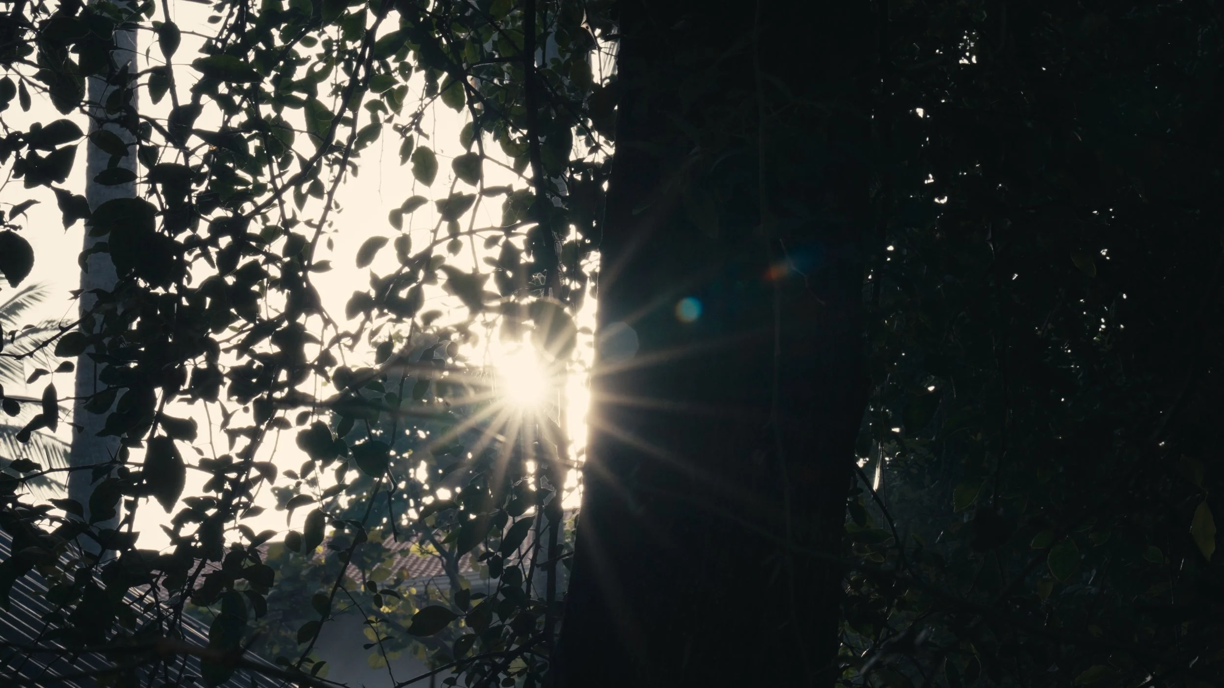 Still 2025-05-26 011428_1.18.1.jpg