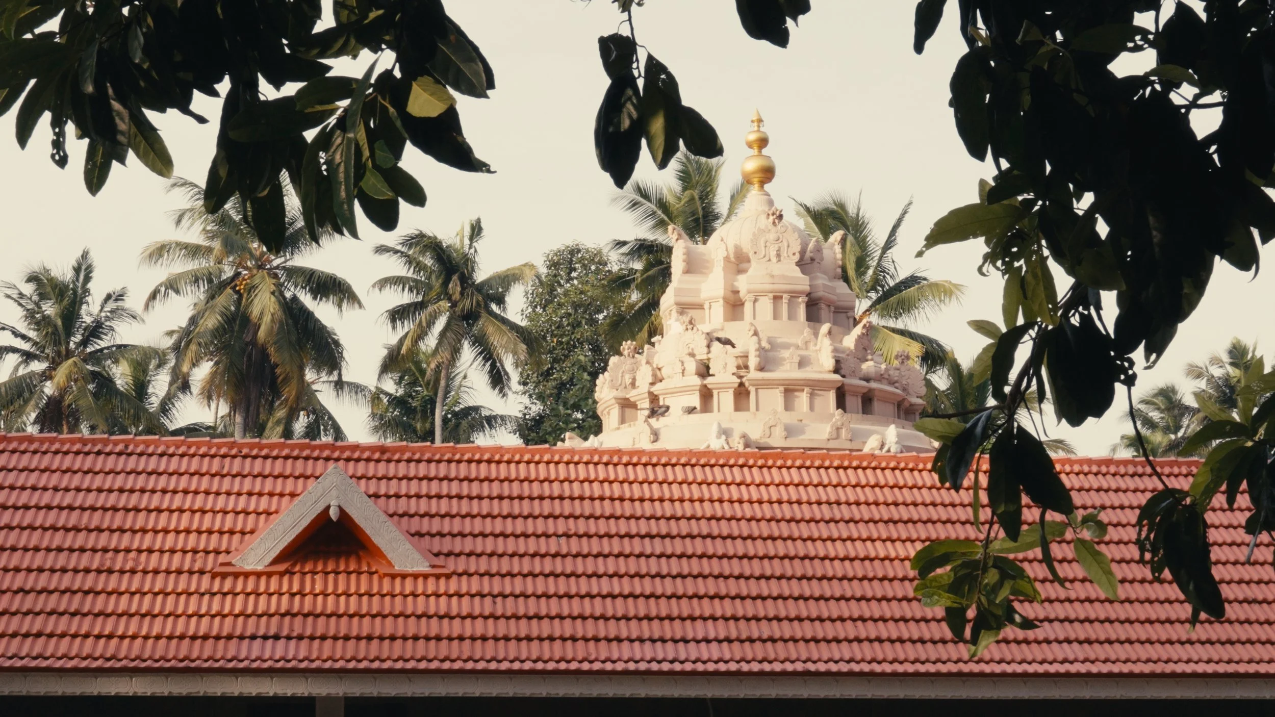 Still 2025-05-26 011325_1.4.2.jpg