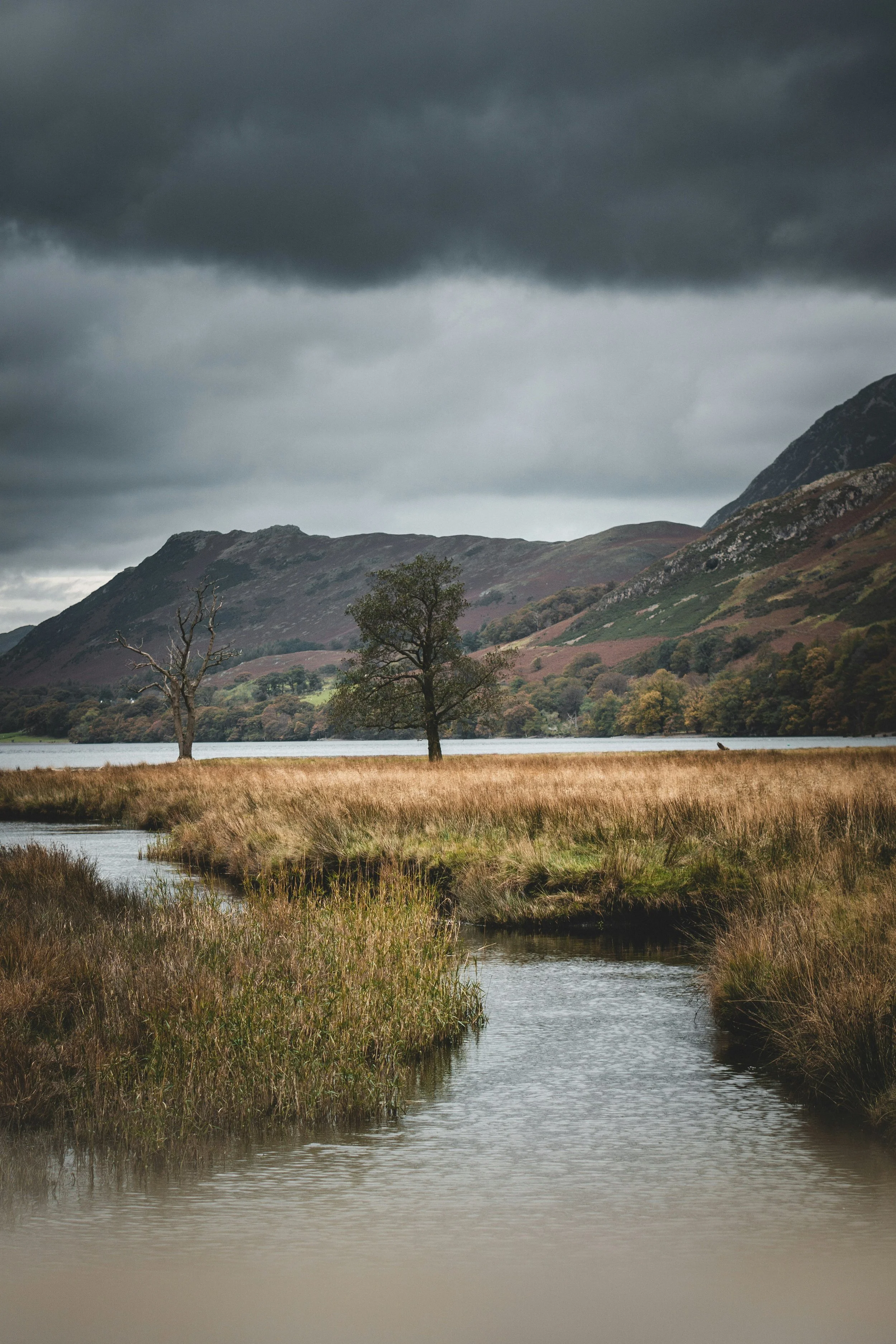 Dark storm clouds over a scenic landscape with hills, trees, a body of water, and tall grasses in the foreground.