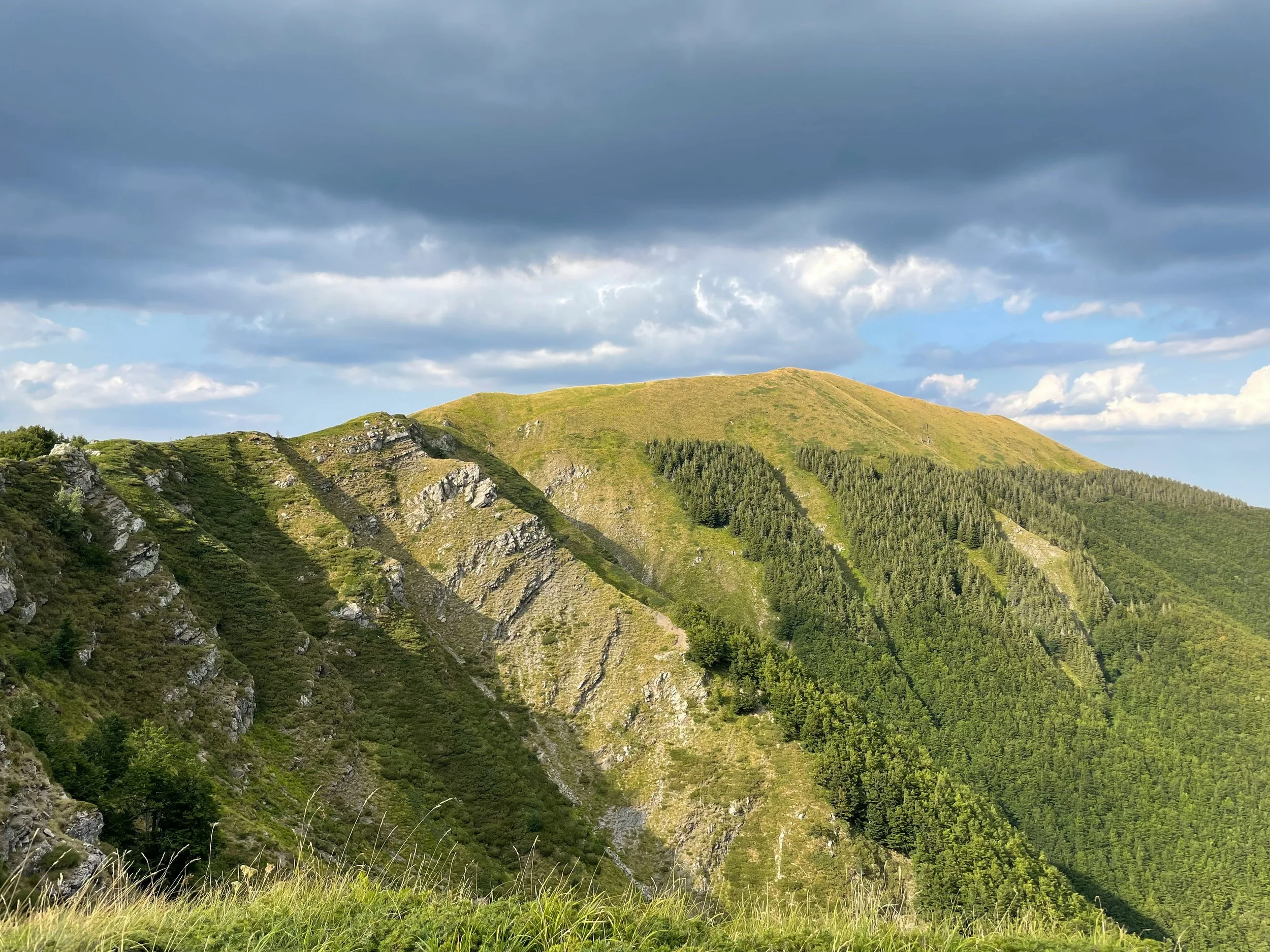 Tall, grassy hillside with trees and rocky outcroppings, under a mostly cloudy sky.