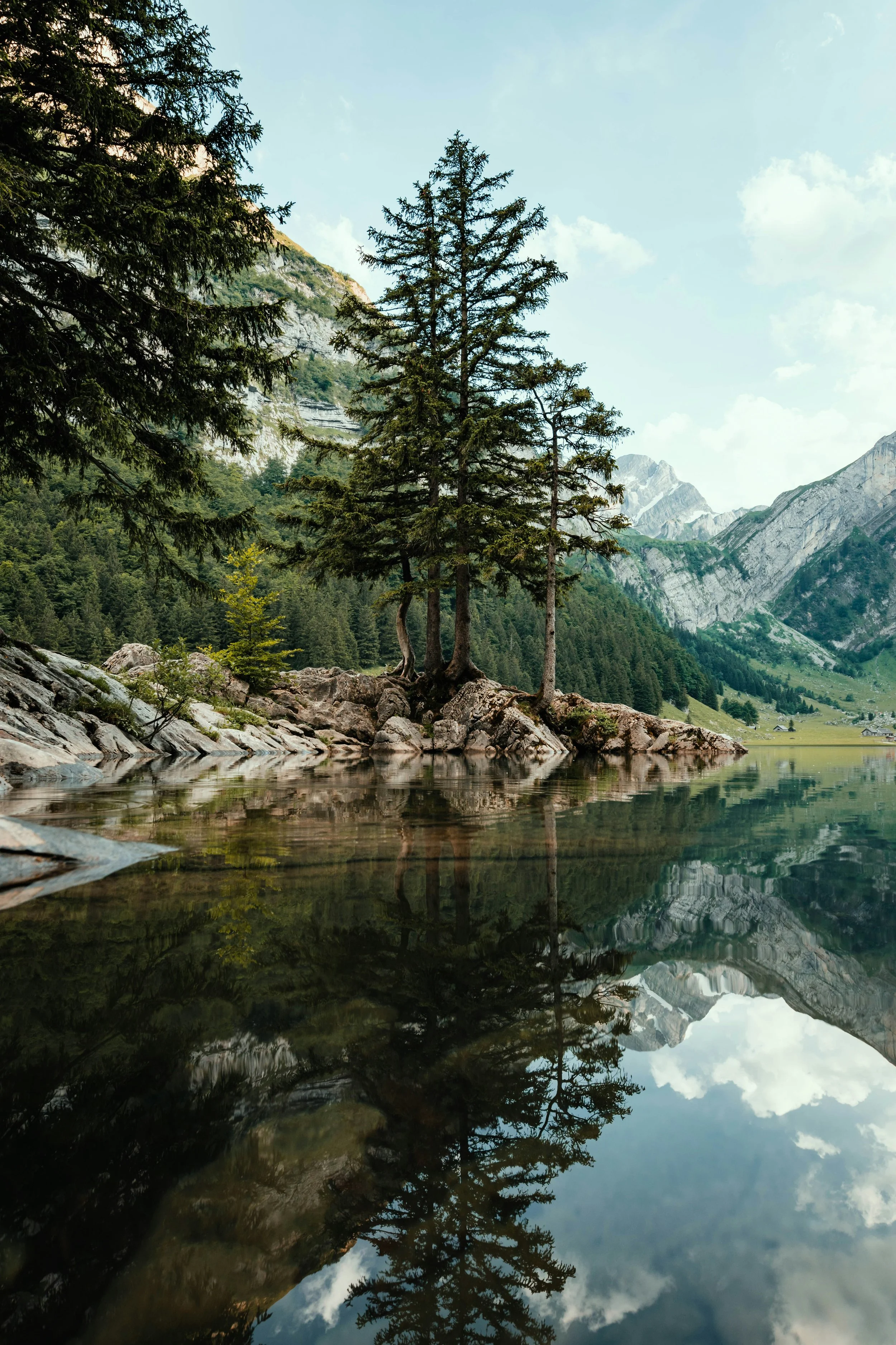 A serene mountain lake scene with tall green pine trees on the rocky shoreline, reflections in the still water, and snow-capped mountains in the background under a partly cloudy sky.