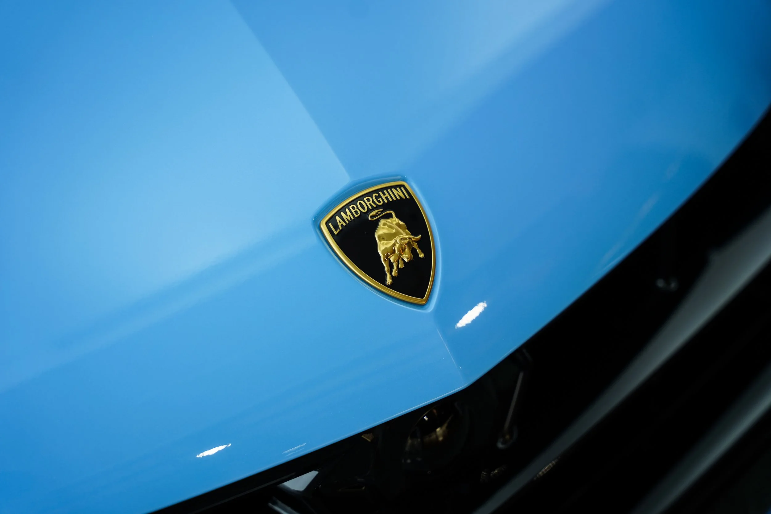 Close-up of a blue Lamborghini car with a black and gold Lamborghini emblem badge.
