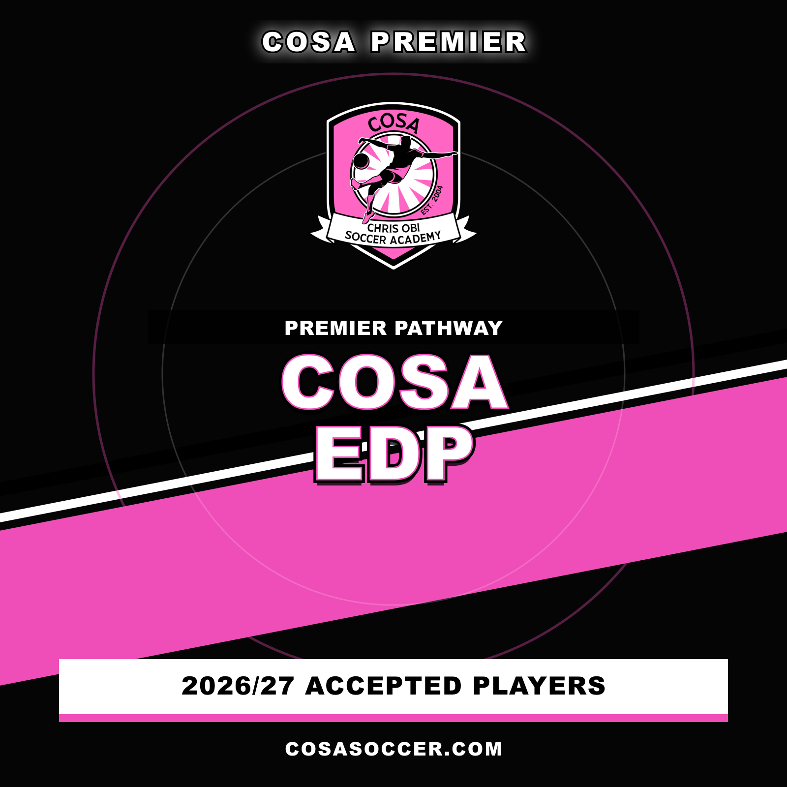 COSA_EDP_Color_Code_Pink.png
