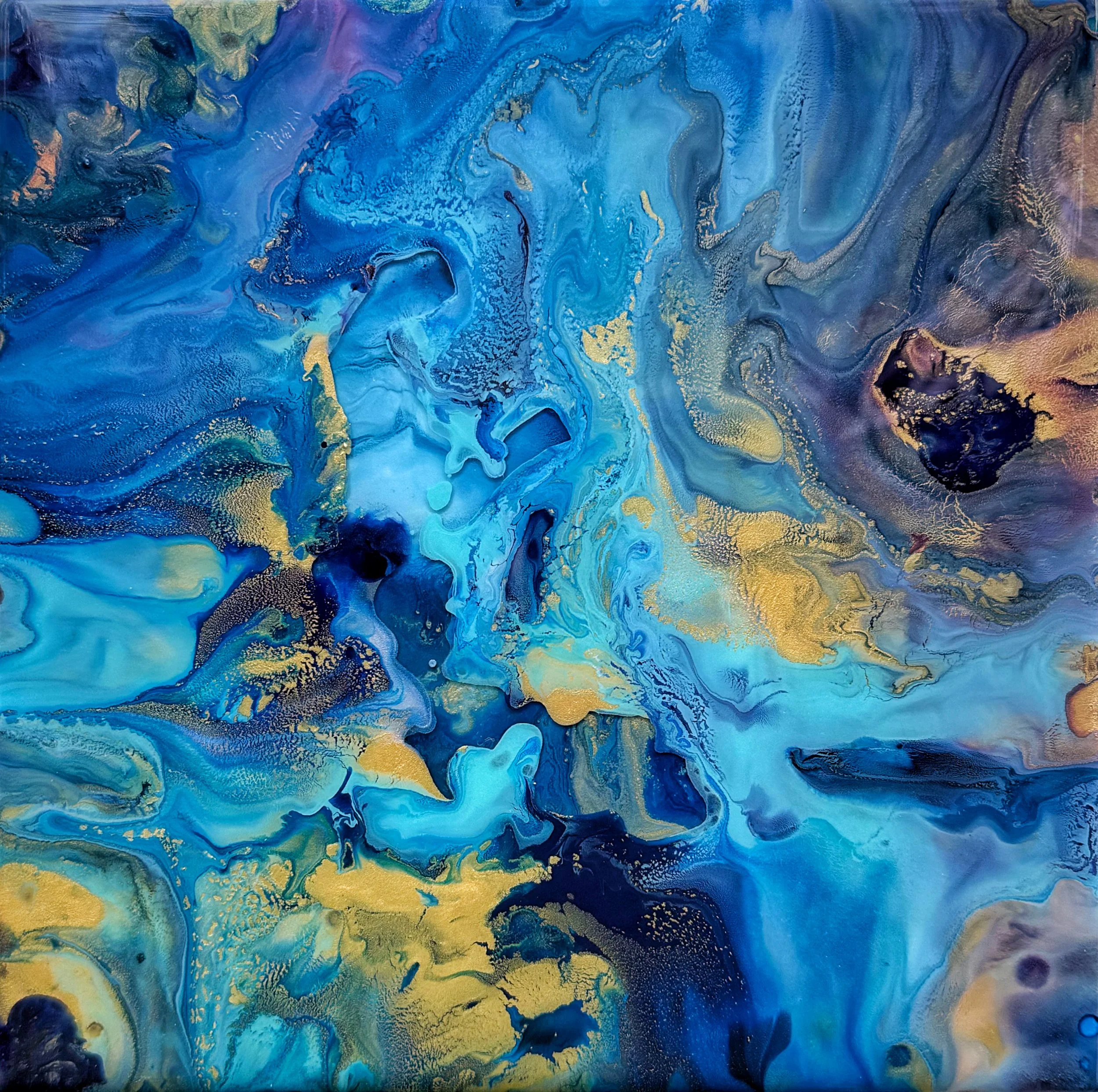 blueberry cat track #2