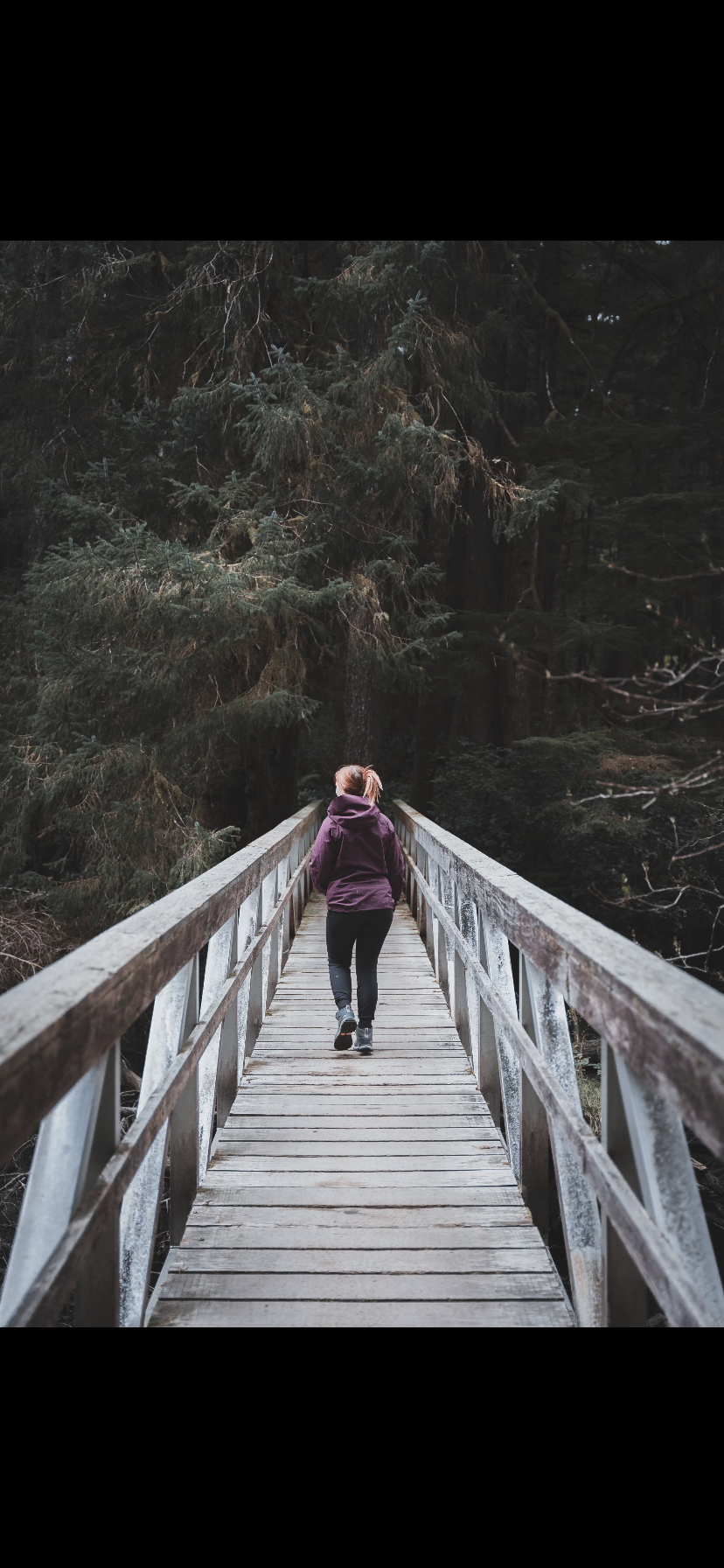 A person walking on a wooden bridge through a dense forest with tall evergreen trees.