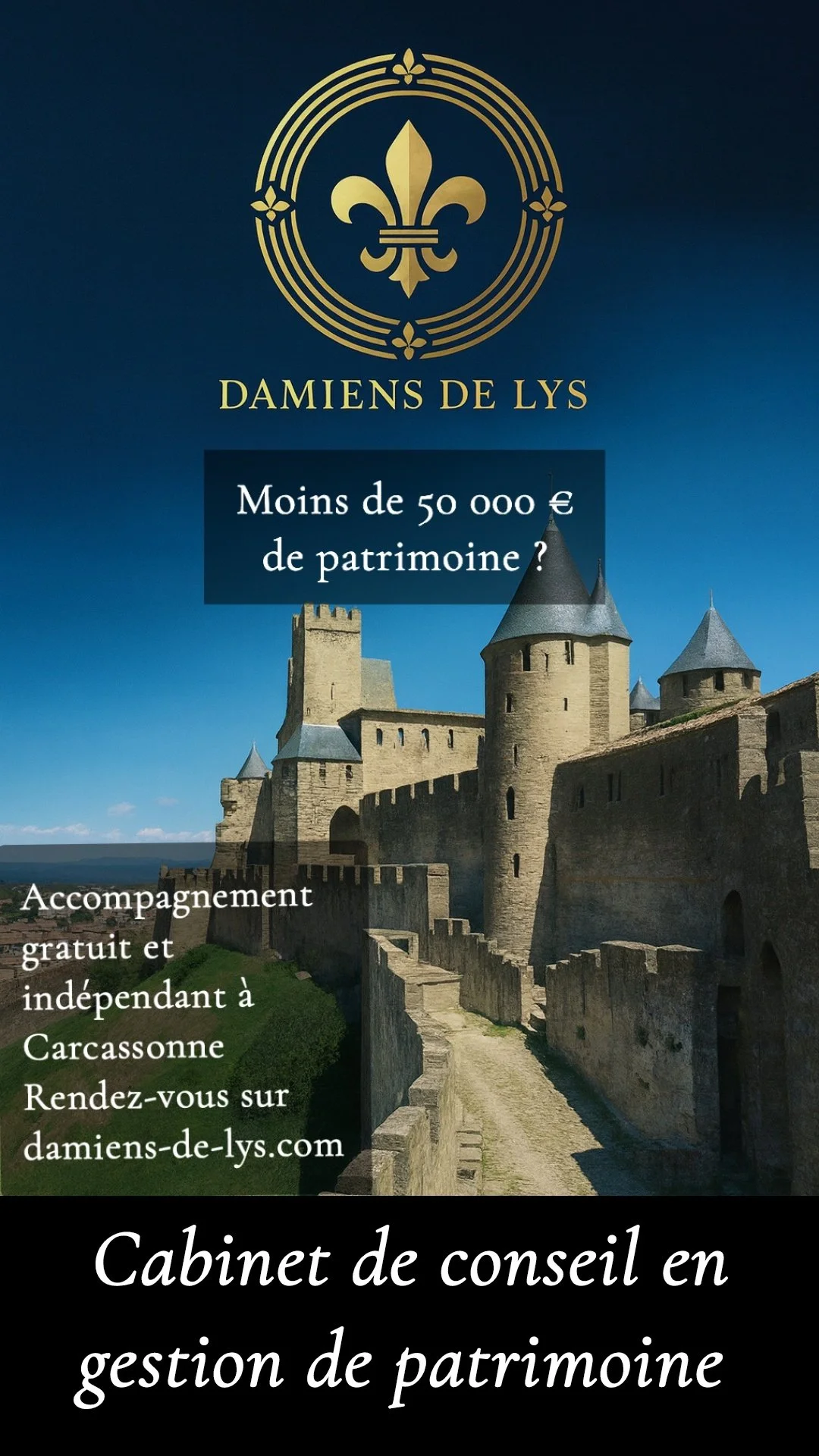 Affiche publicitaire pour Damiens de Lys, cabinet de conseil en gestion de patrimoine, proposant un accompagnement gratuit et indépendant à Carcassonne, avec un château en pierre en fond.