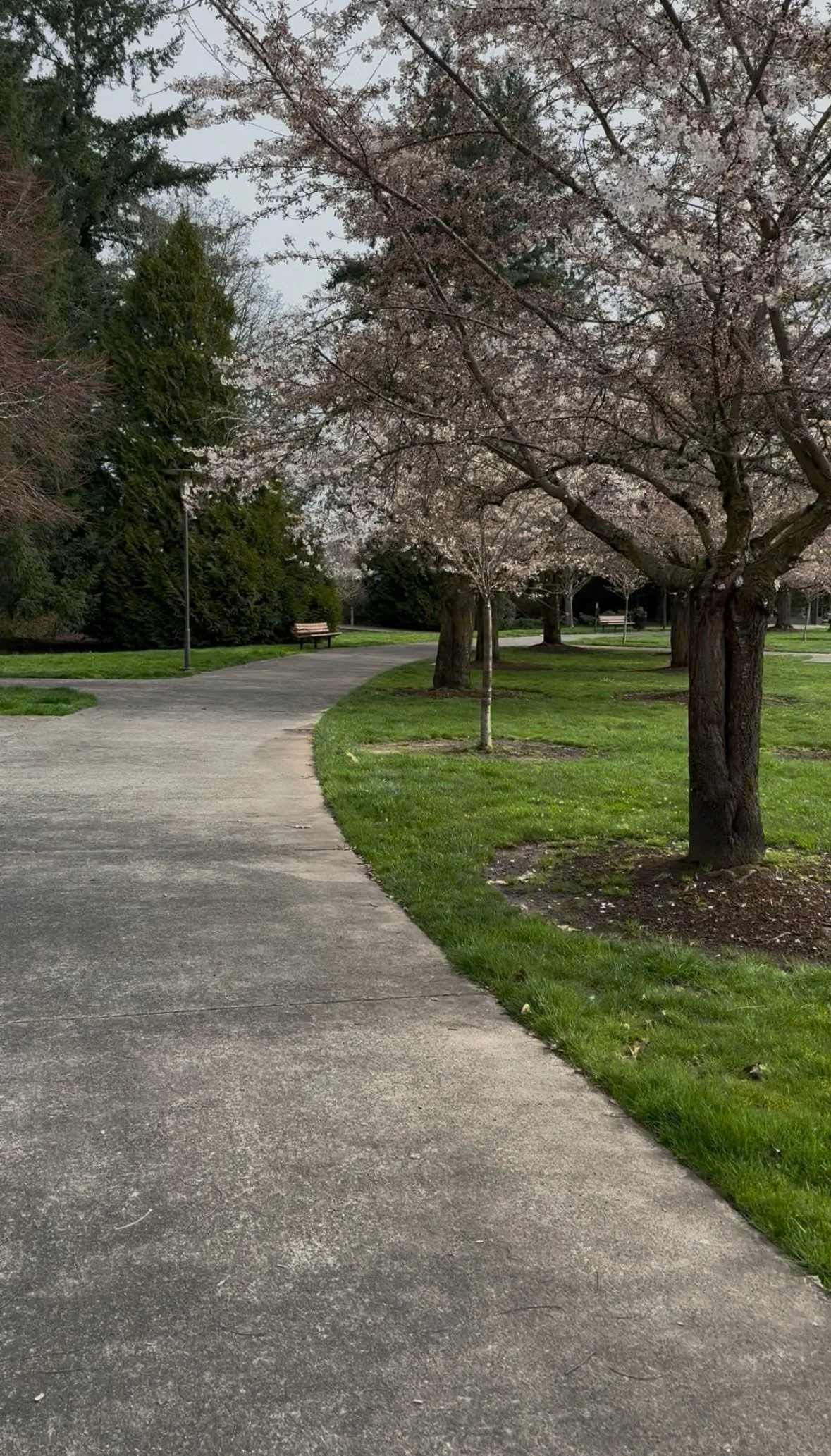 March 15 (tap for more)