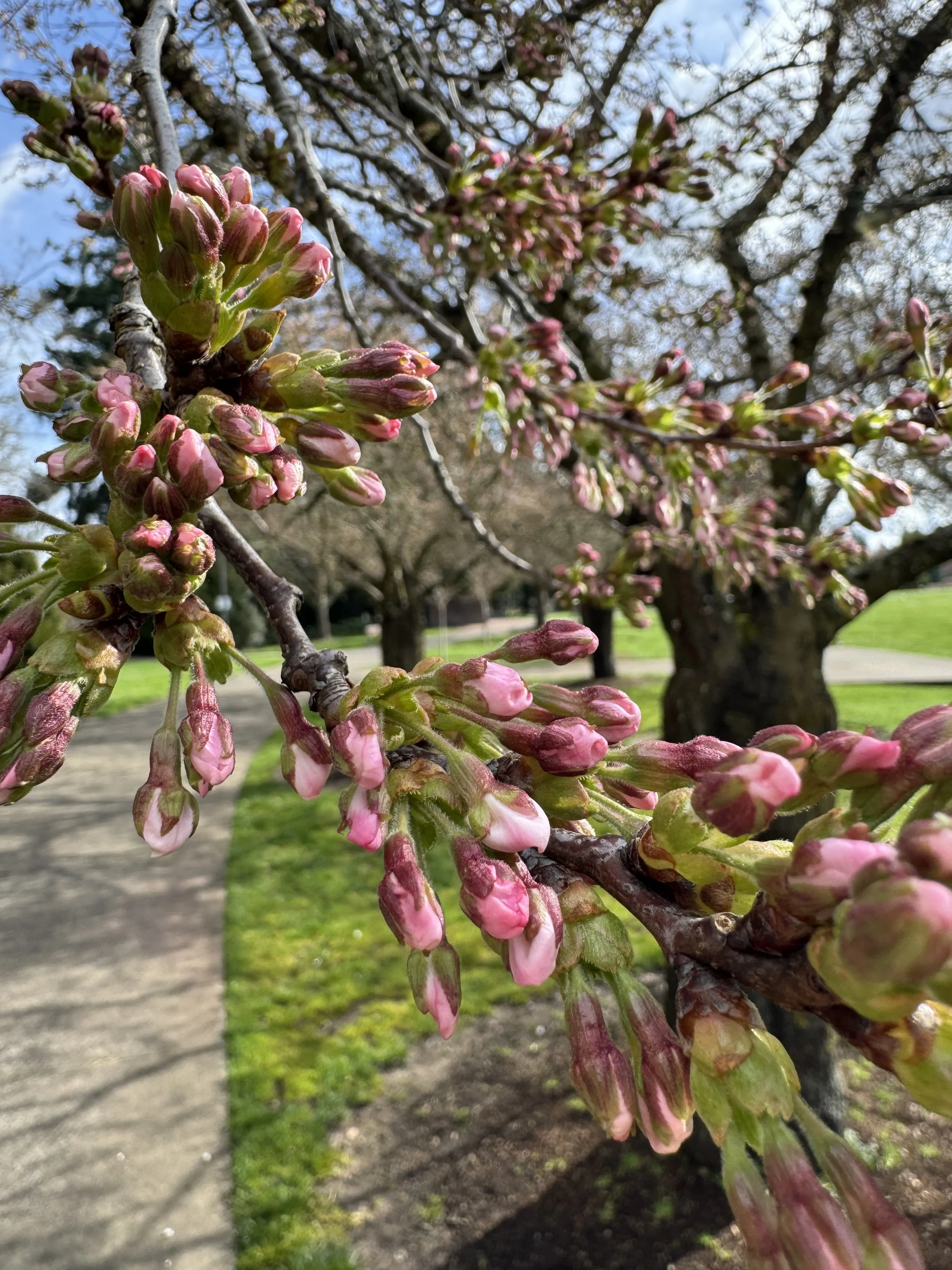 March 9 (tap for more)