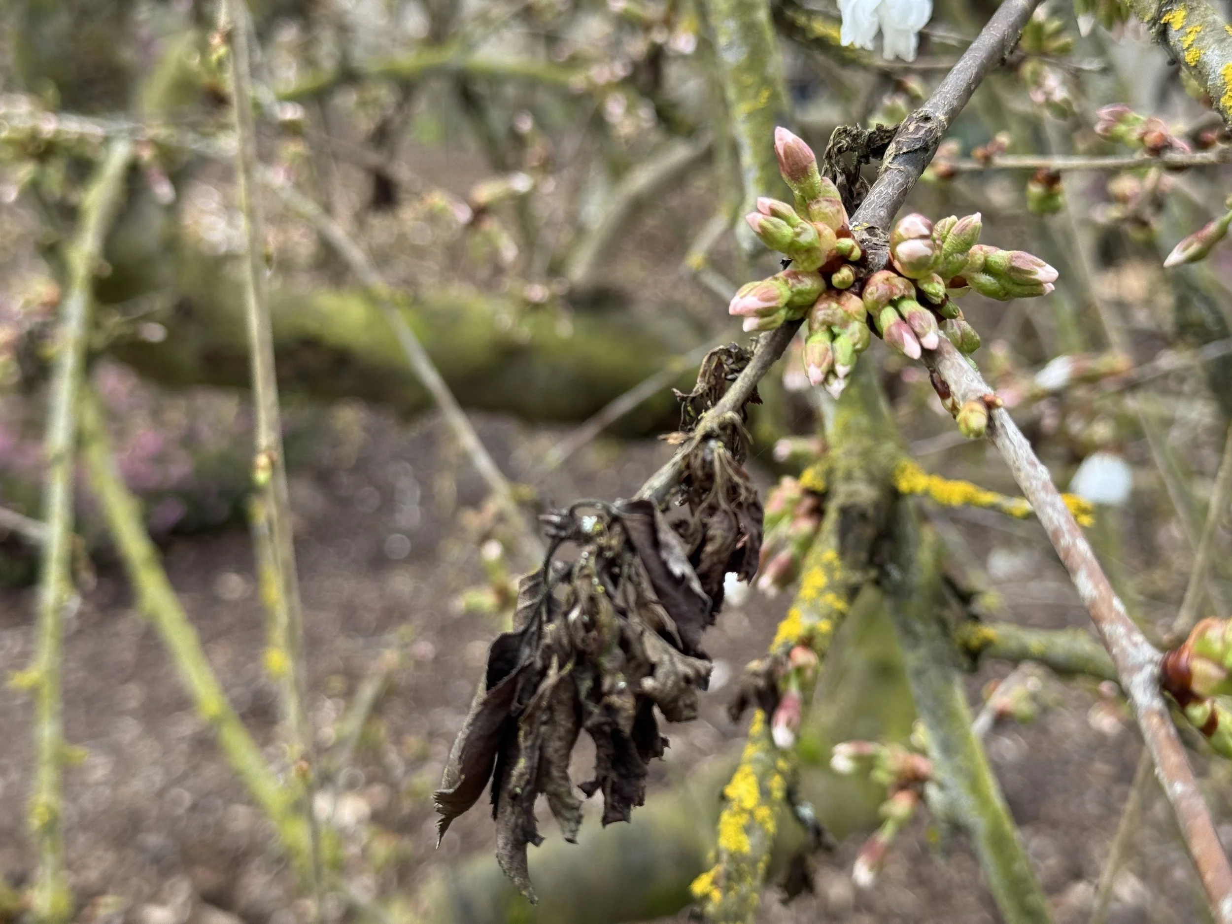 March 10 (tap for more)