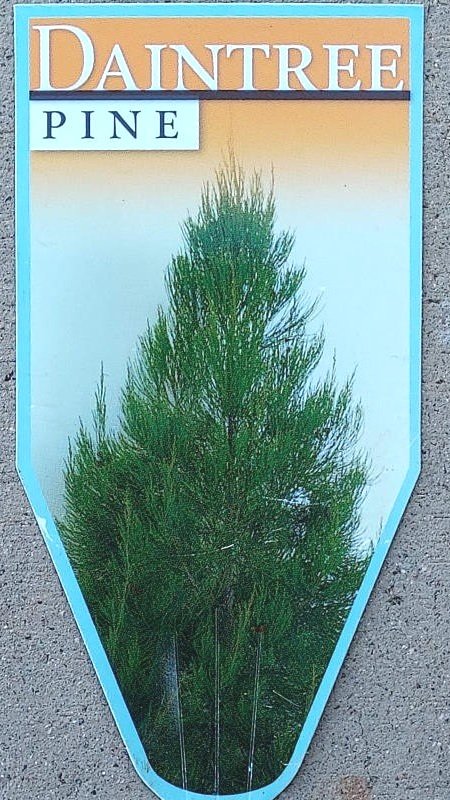 20002435_3-1.jpg
