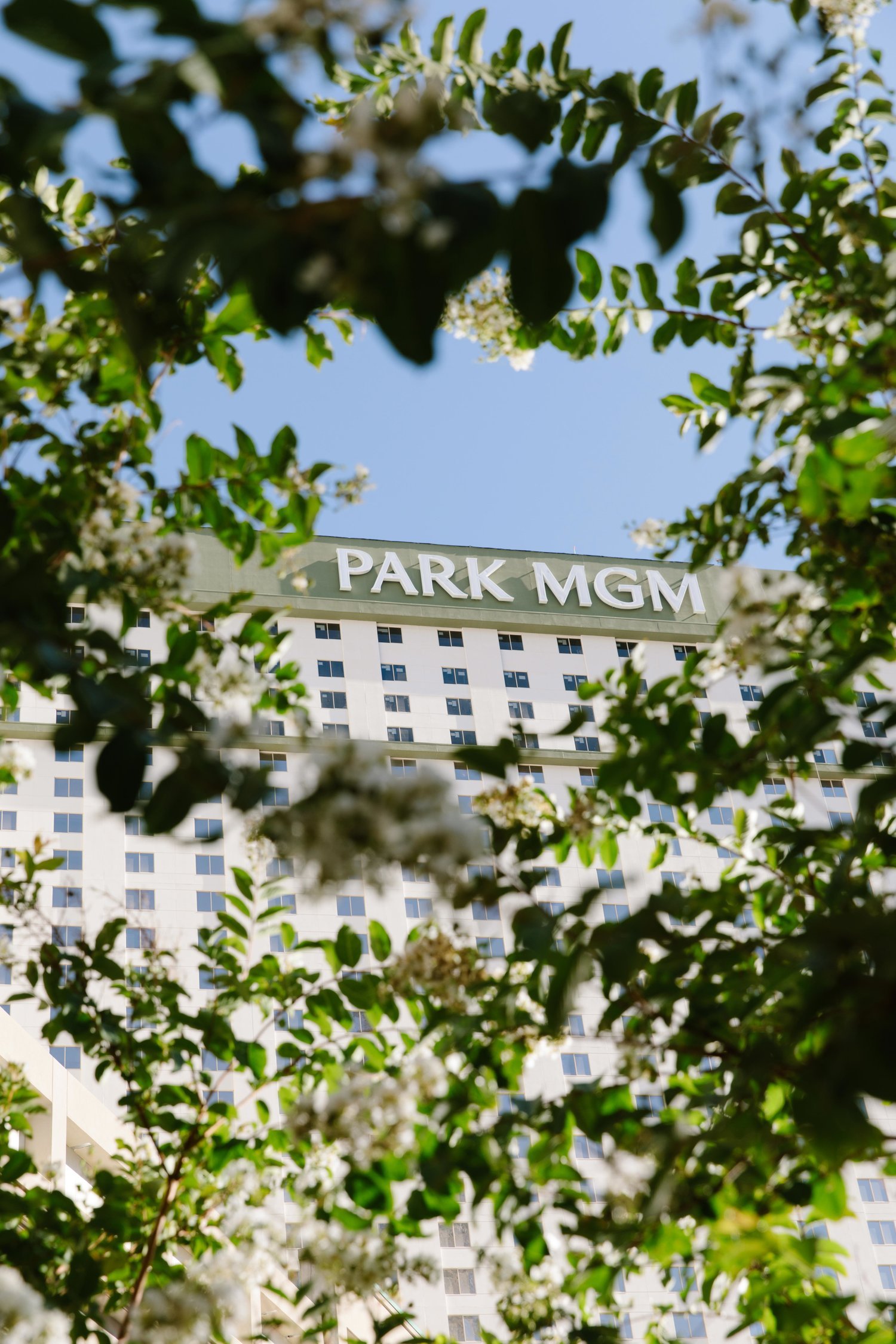 PatrickMichaelChin_ParkMGM_sana.jpg