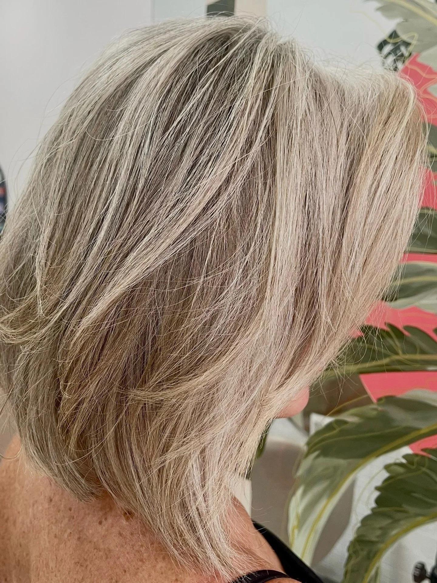 2 years of trust, patience, and good hair decisions 🤍

Swipe for the before. 💫

#bhavasalon #blondetransformation #blondejourney #brisbaneblonde