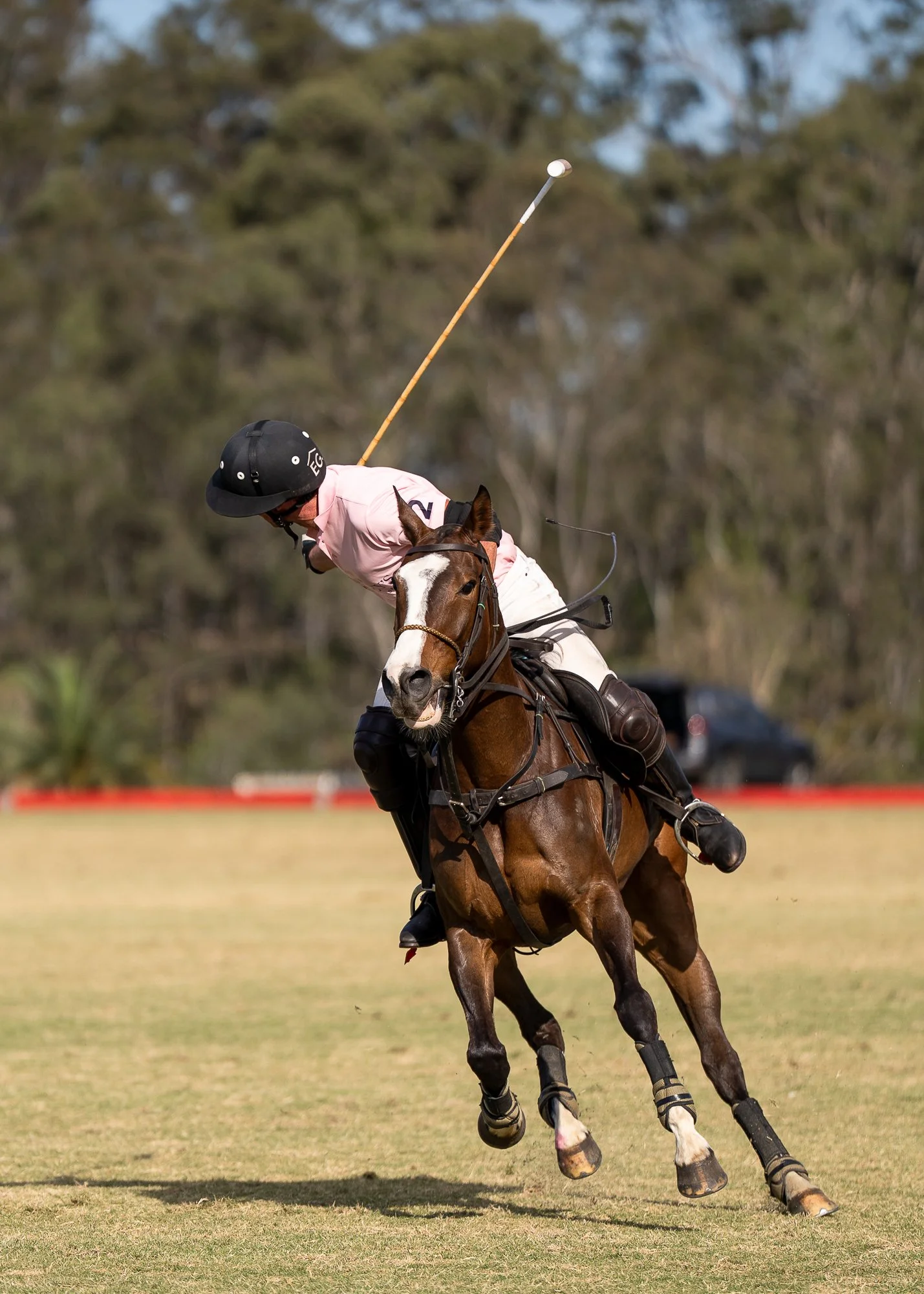 MCKINNEYS POLO - SEP 25 (web res) - Rebekah Martin-491.jpg