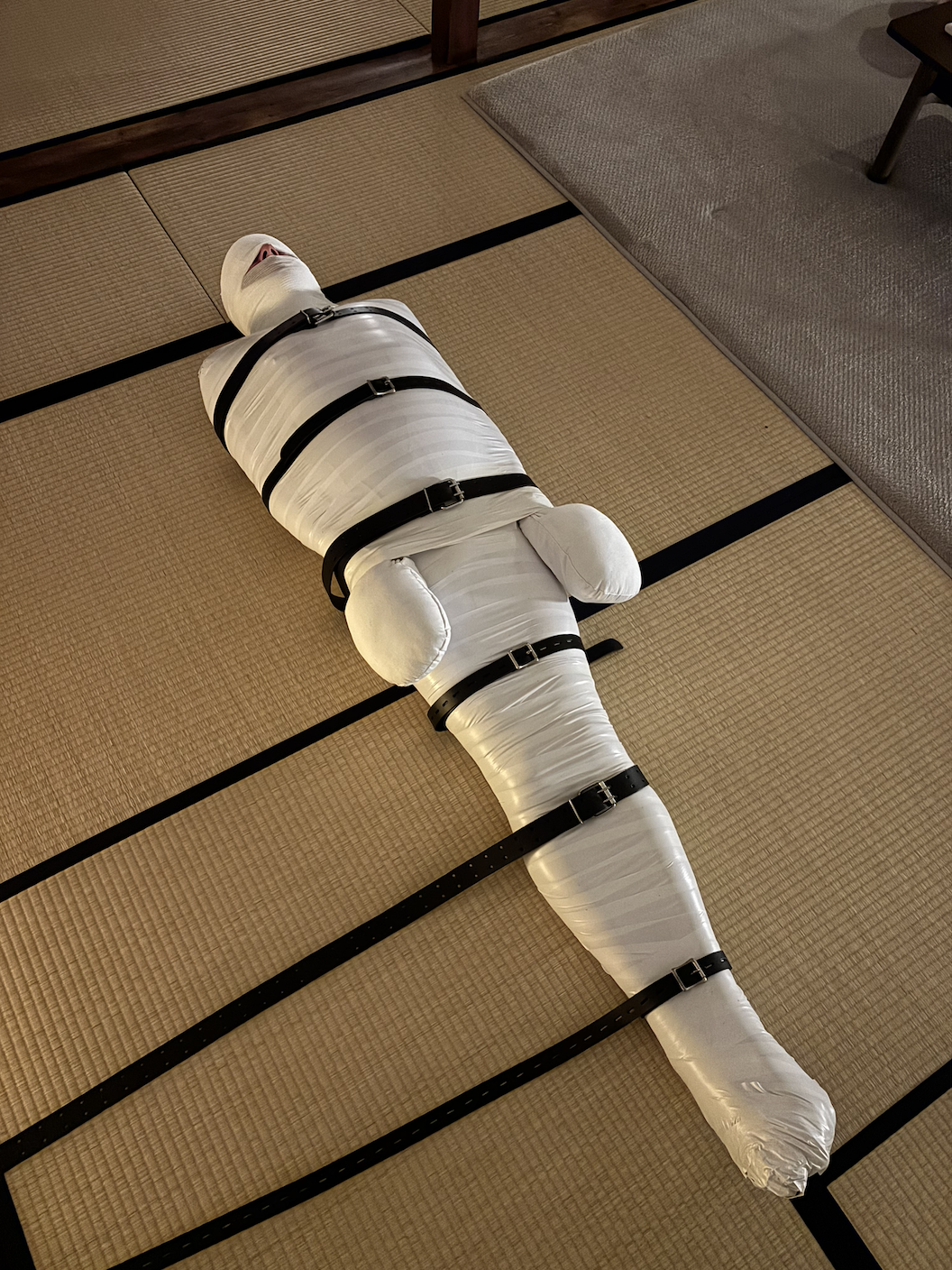 Screenshot 2026-02-25 at 11.50.22.png