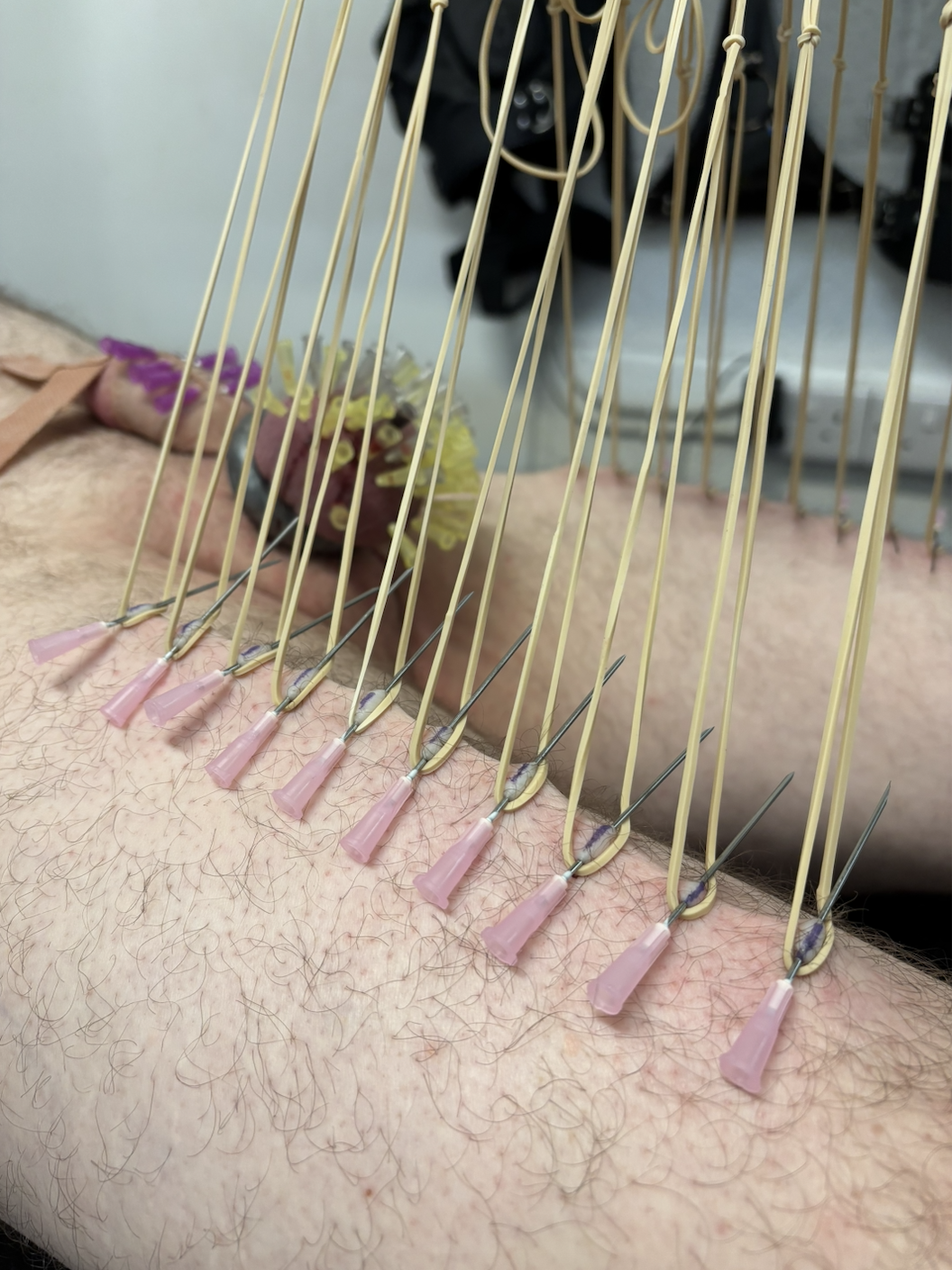 Screenshot 2026-02-25 at 11.49.35.png