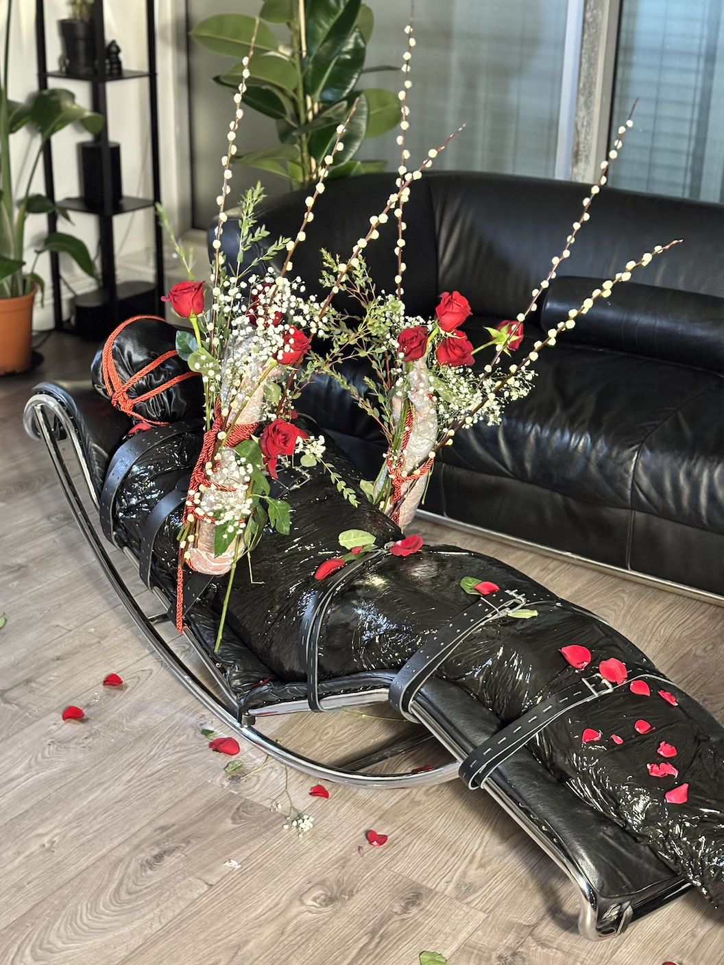 Screenshot 2026-02-25 at 11.50.15.png