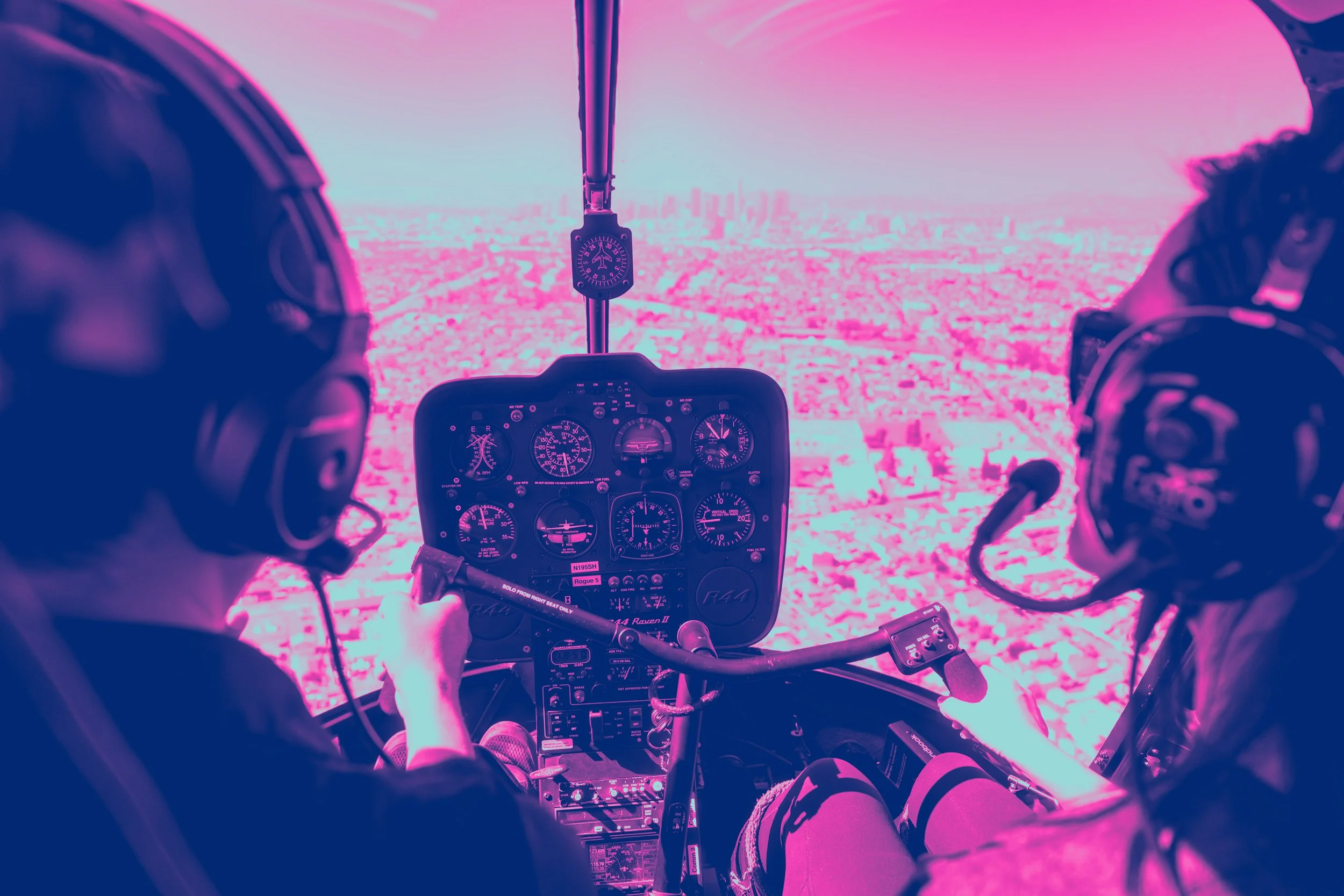 Flight sight