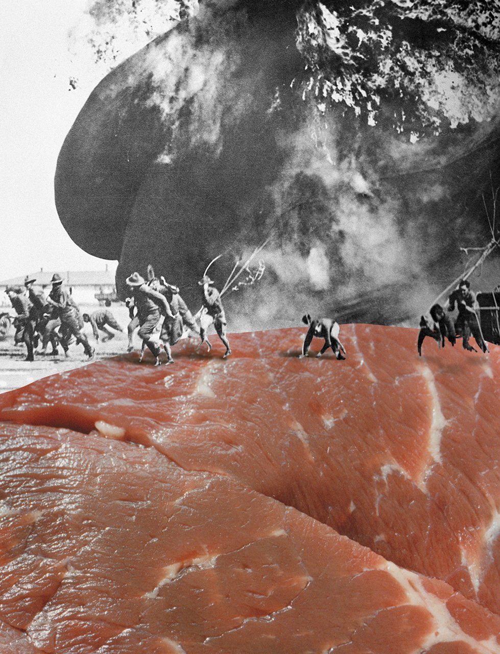 The Hindenburg (May 1937), 1995/2013
